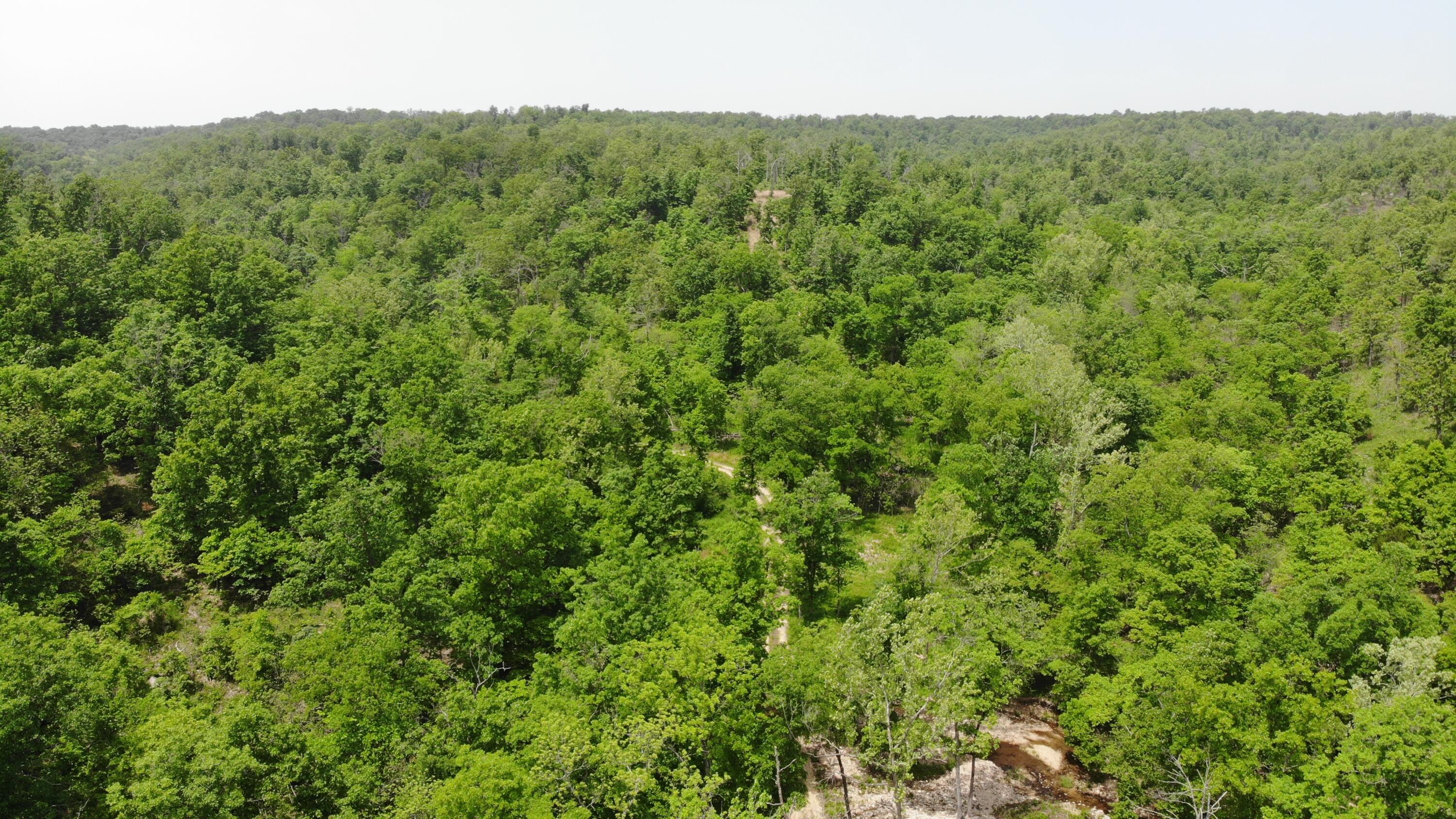 000 64 Hwy Lot 18 Property Photo 6