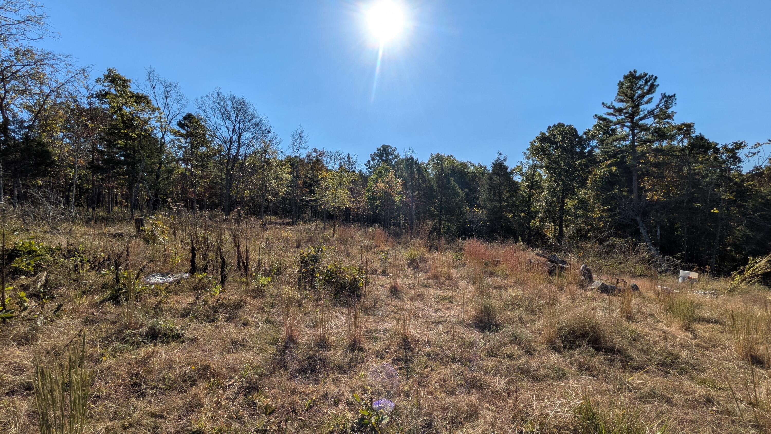 11 Log Ridge Rd Road