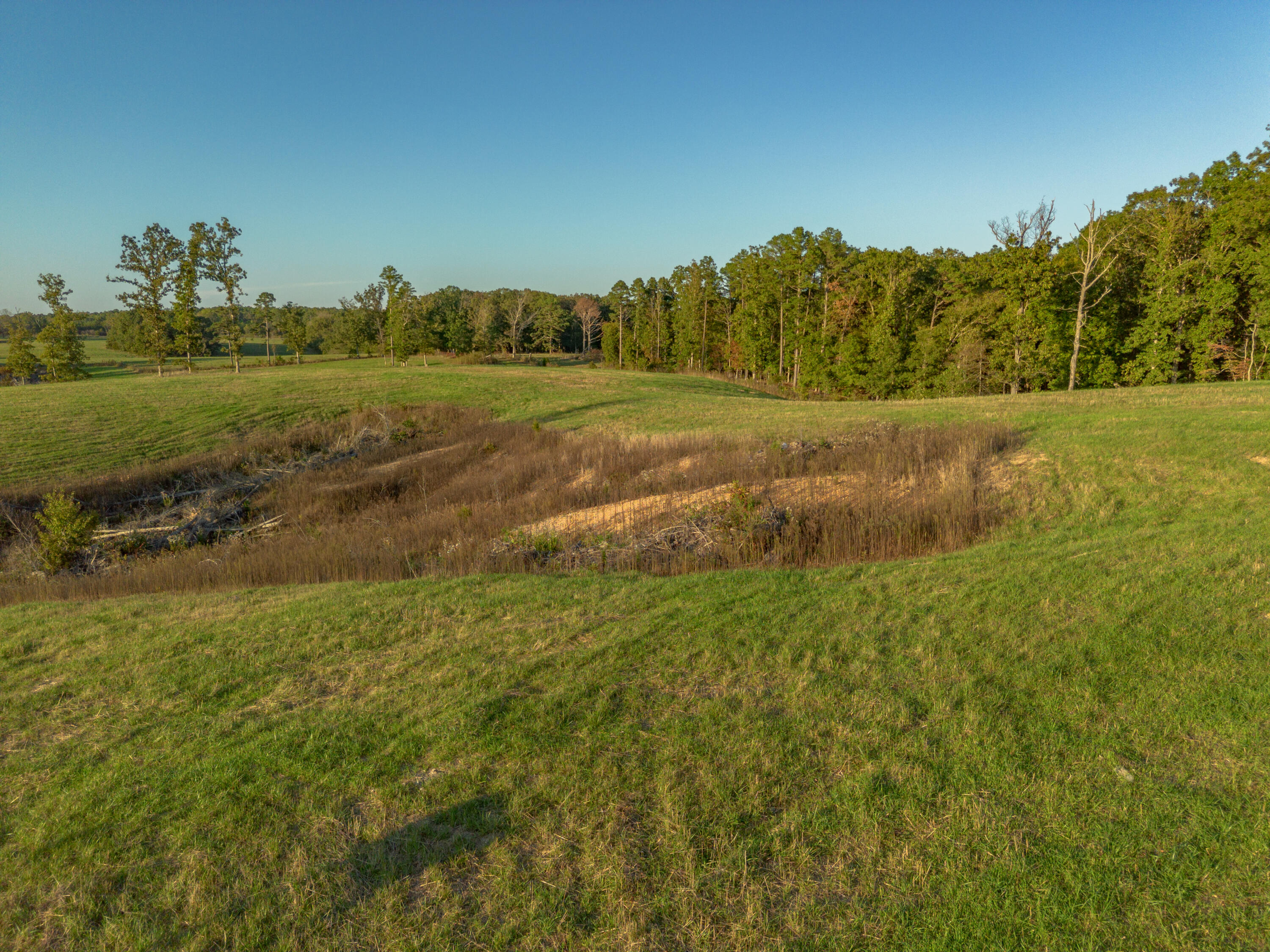 000 Dixon Road Property Photo 6