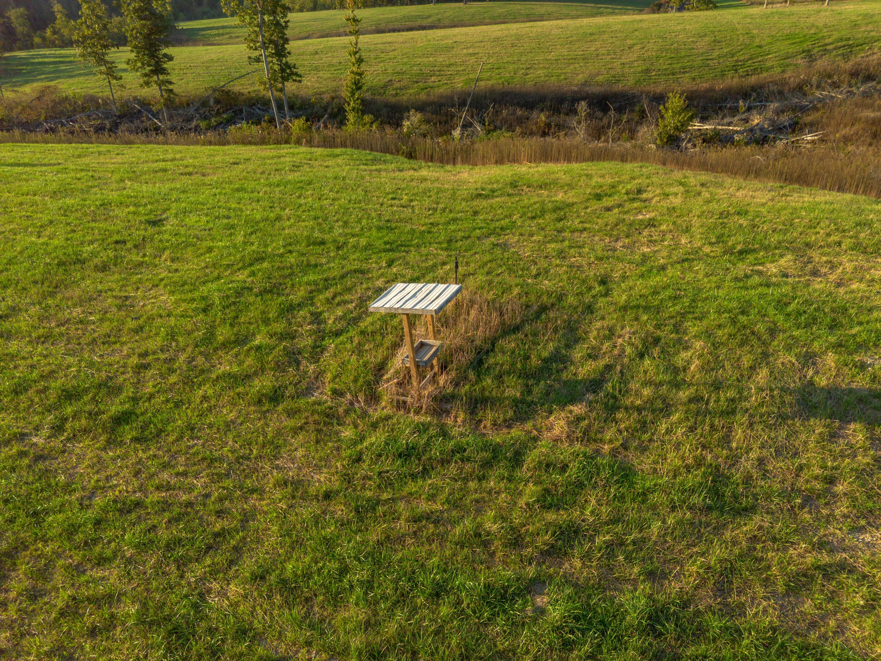 000 Dixon Road Property Photo 10