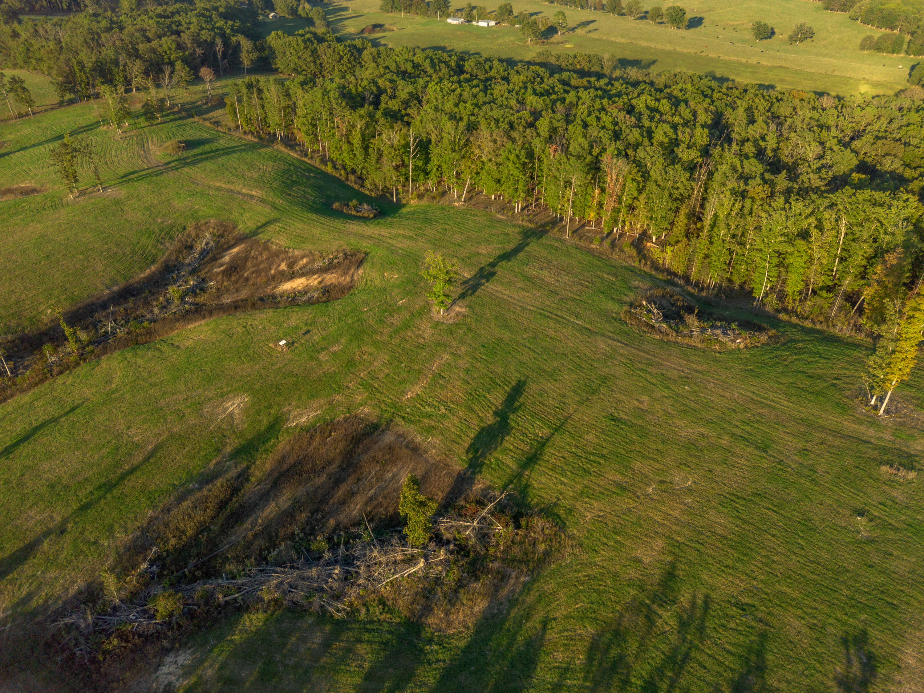 000 Dixon Road Property Photo 15