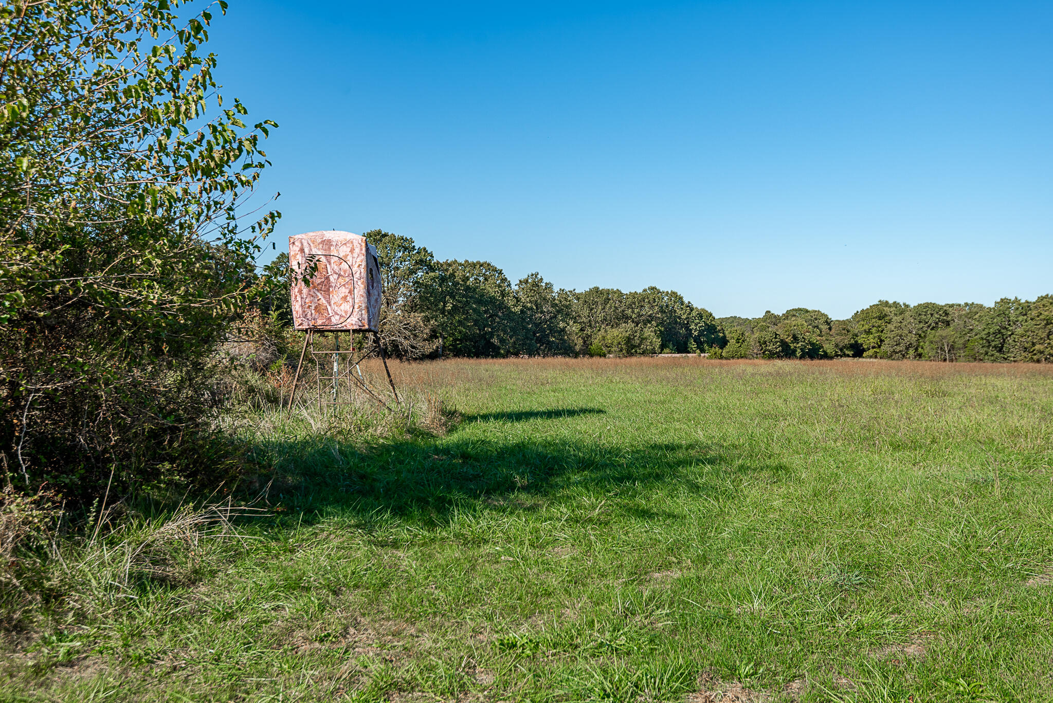 18007 Norton Drive Property Photo 17