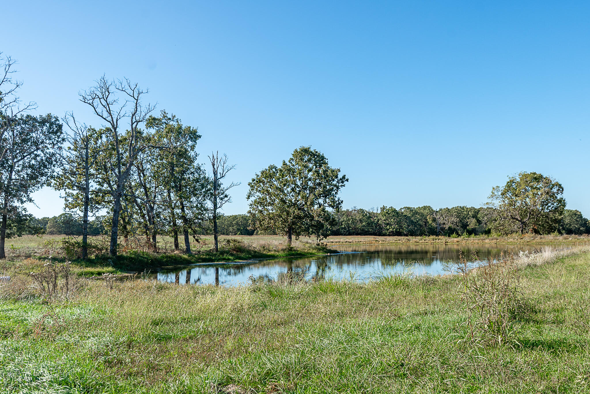 18007 Norton Drive Property Photo 61