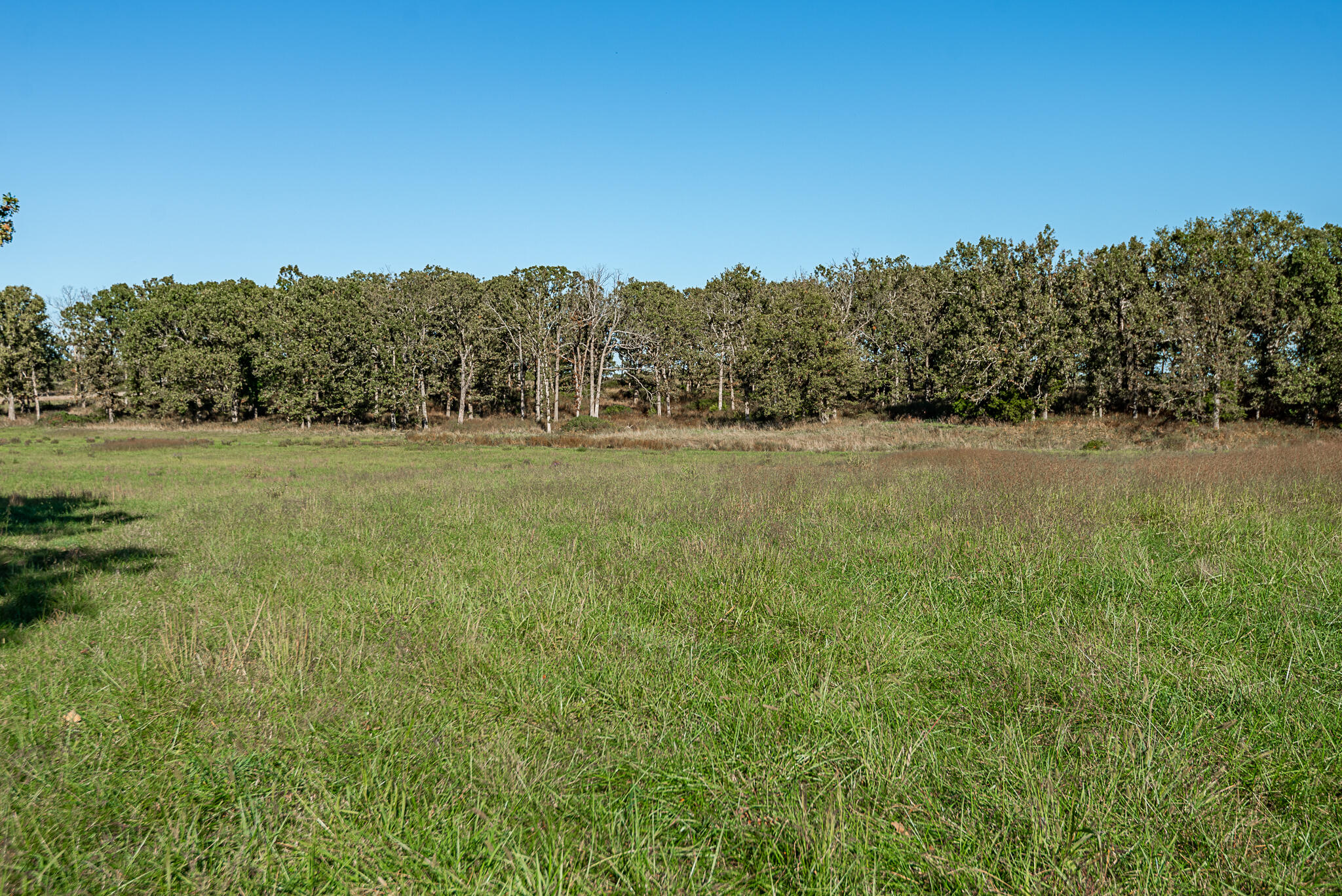 18007 Norton Drive Property Photo 71