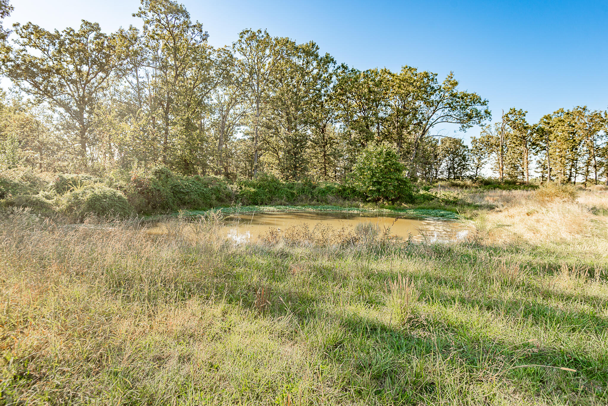18007 Norton Drive Property Photo 77