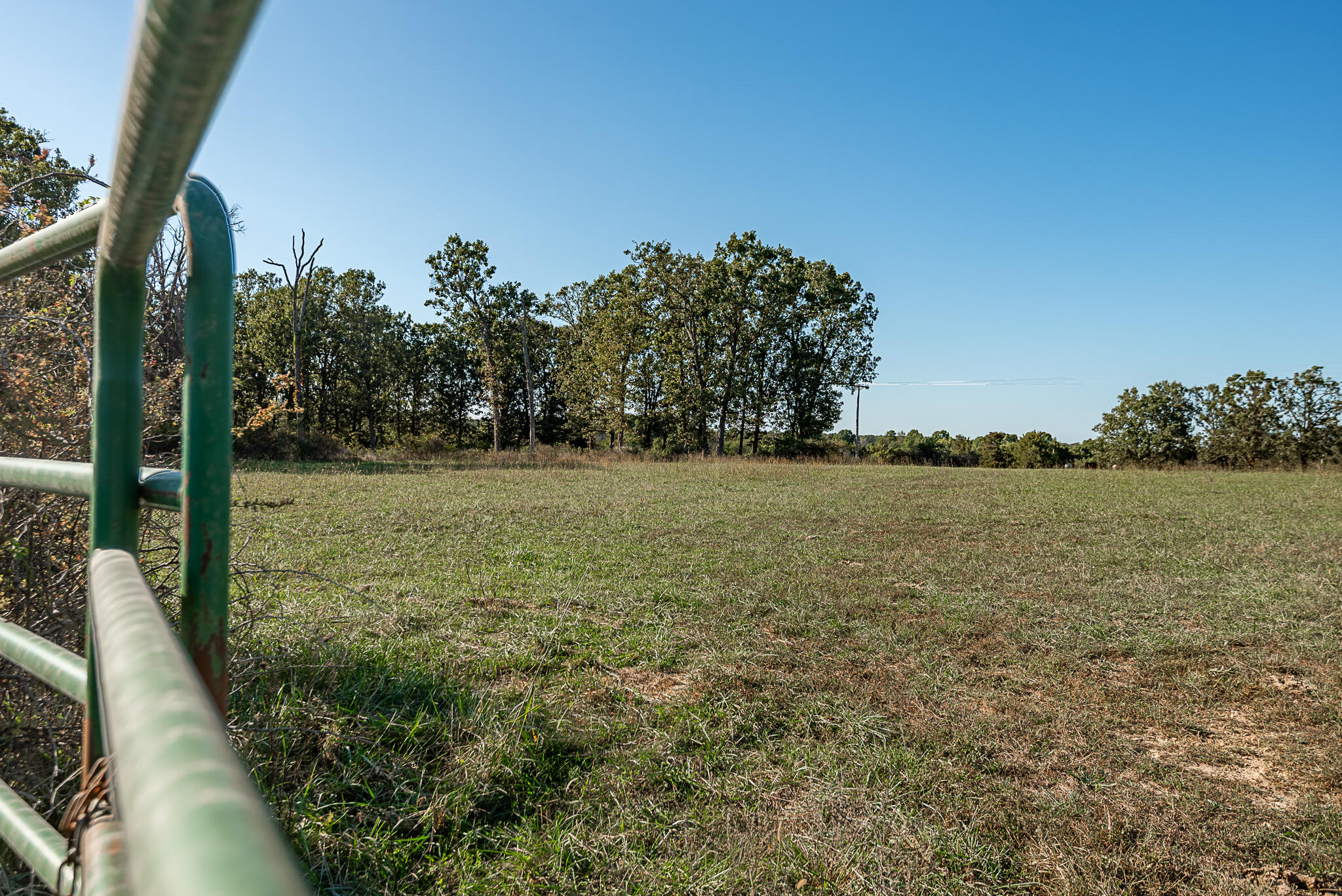 18007 Norton Drive Property Photo 80