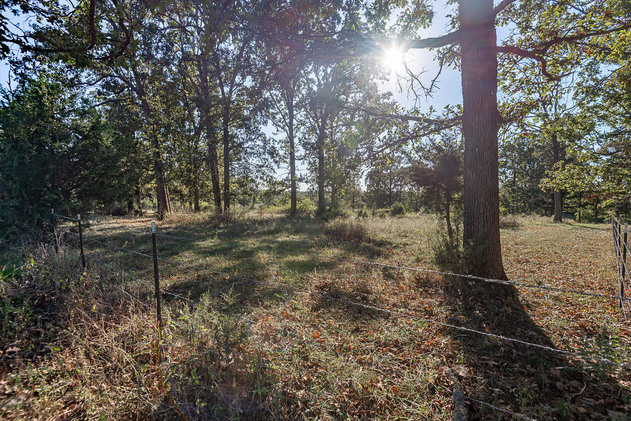 18007 Norton Drive Property Photo 81