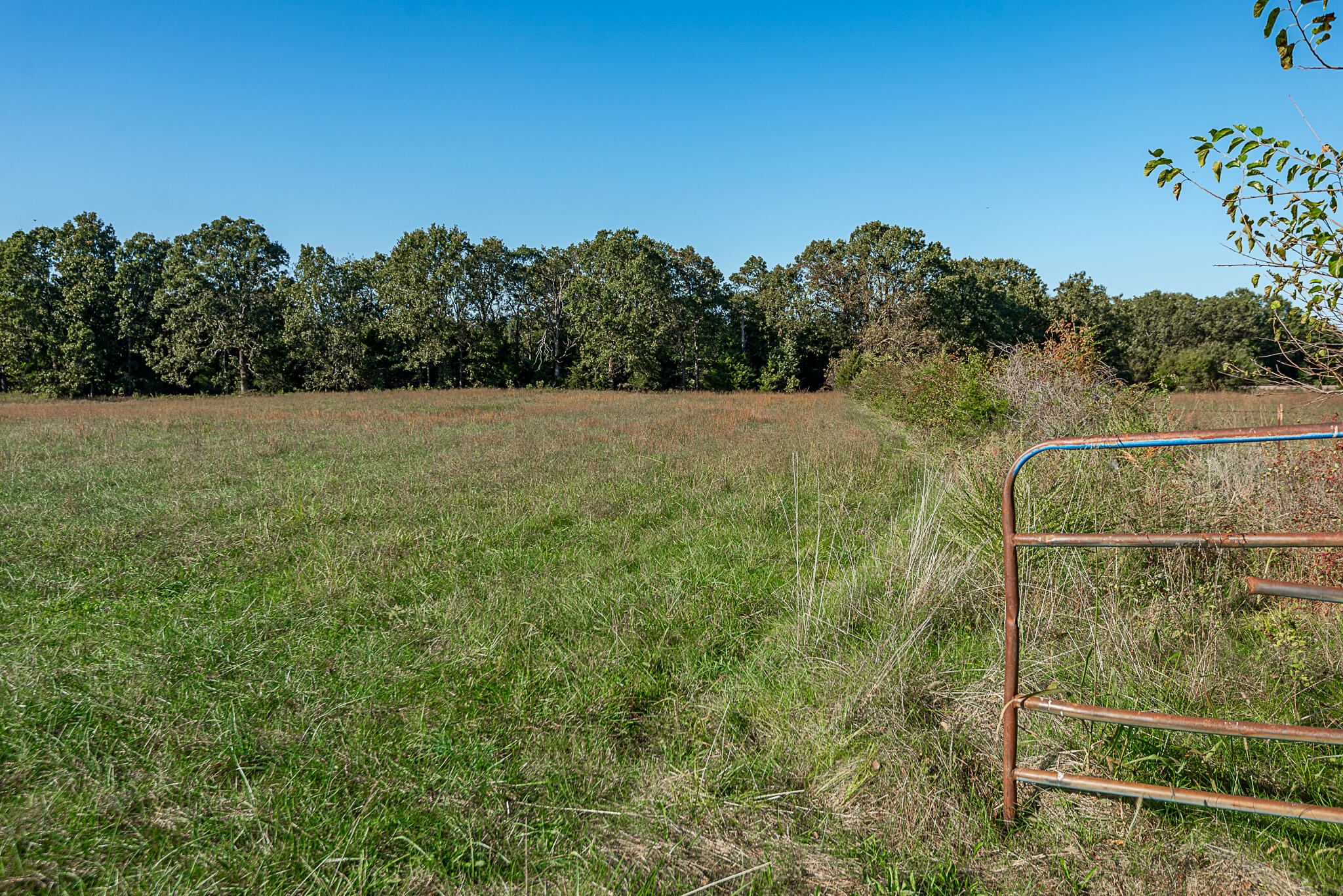 18007 Norton Drive Property Photo 65