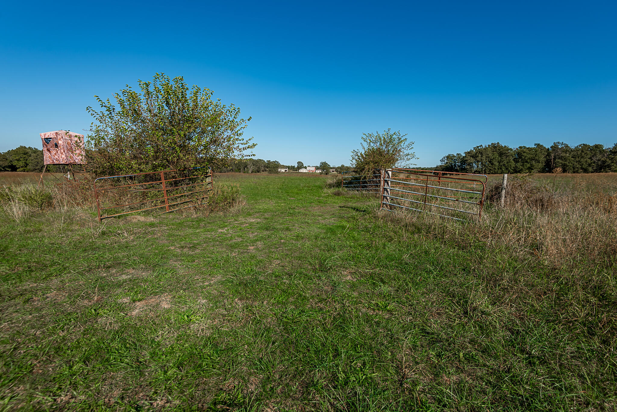 18007 Norton Drive Property Photo 67