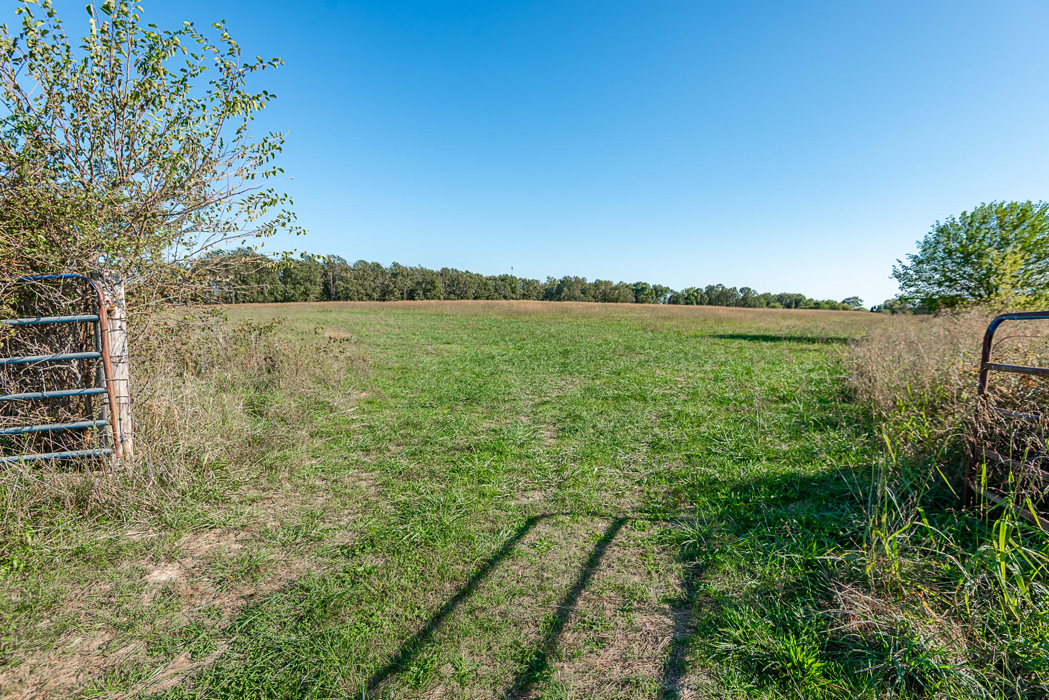 18007 Norton Drive Property Photo 69