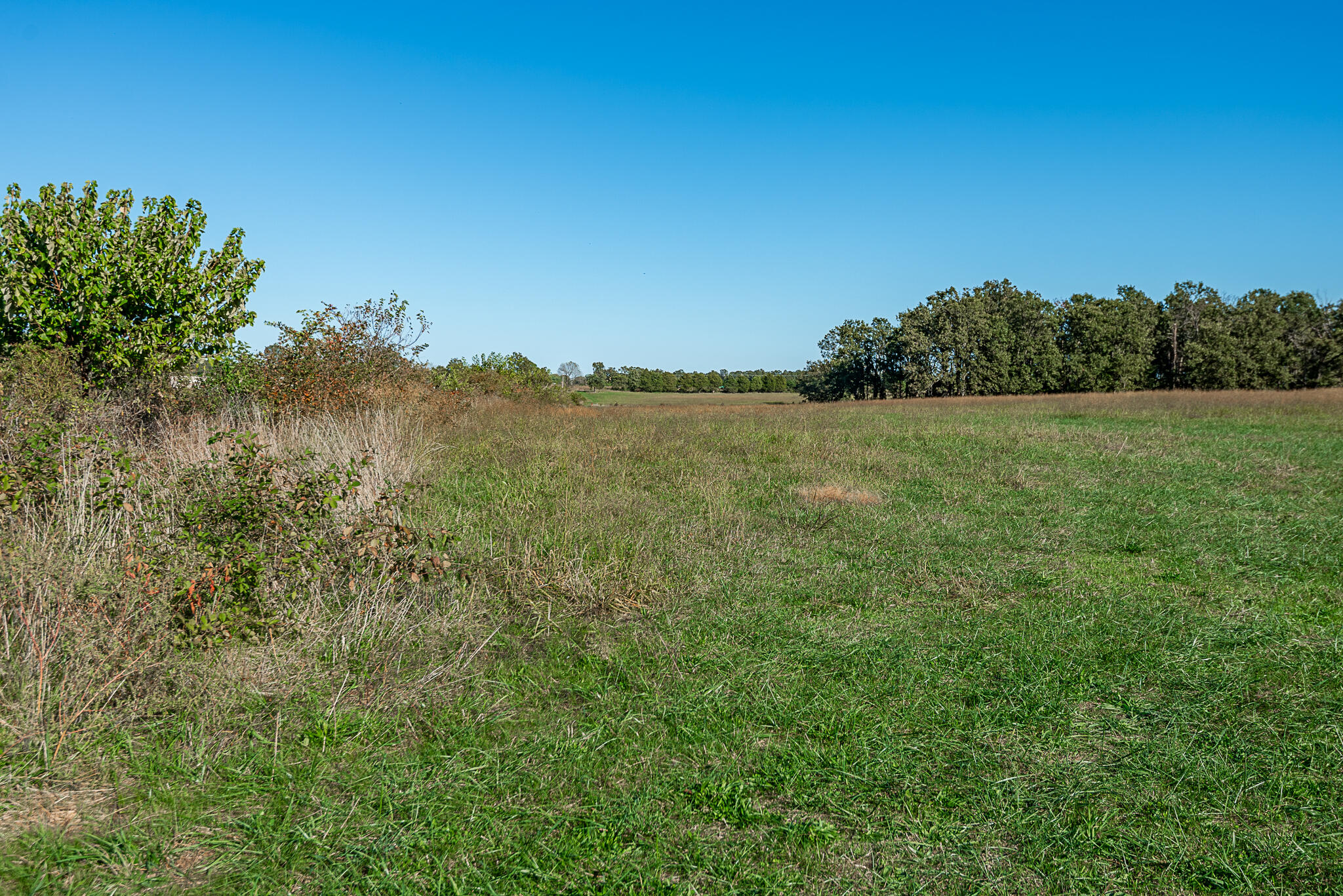 18007 Norton Drive Property Photo 70