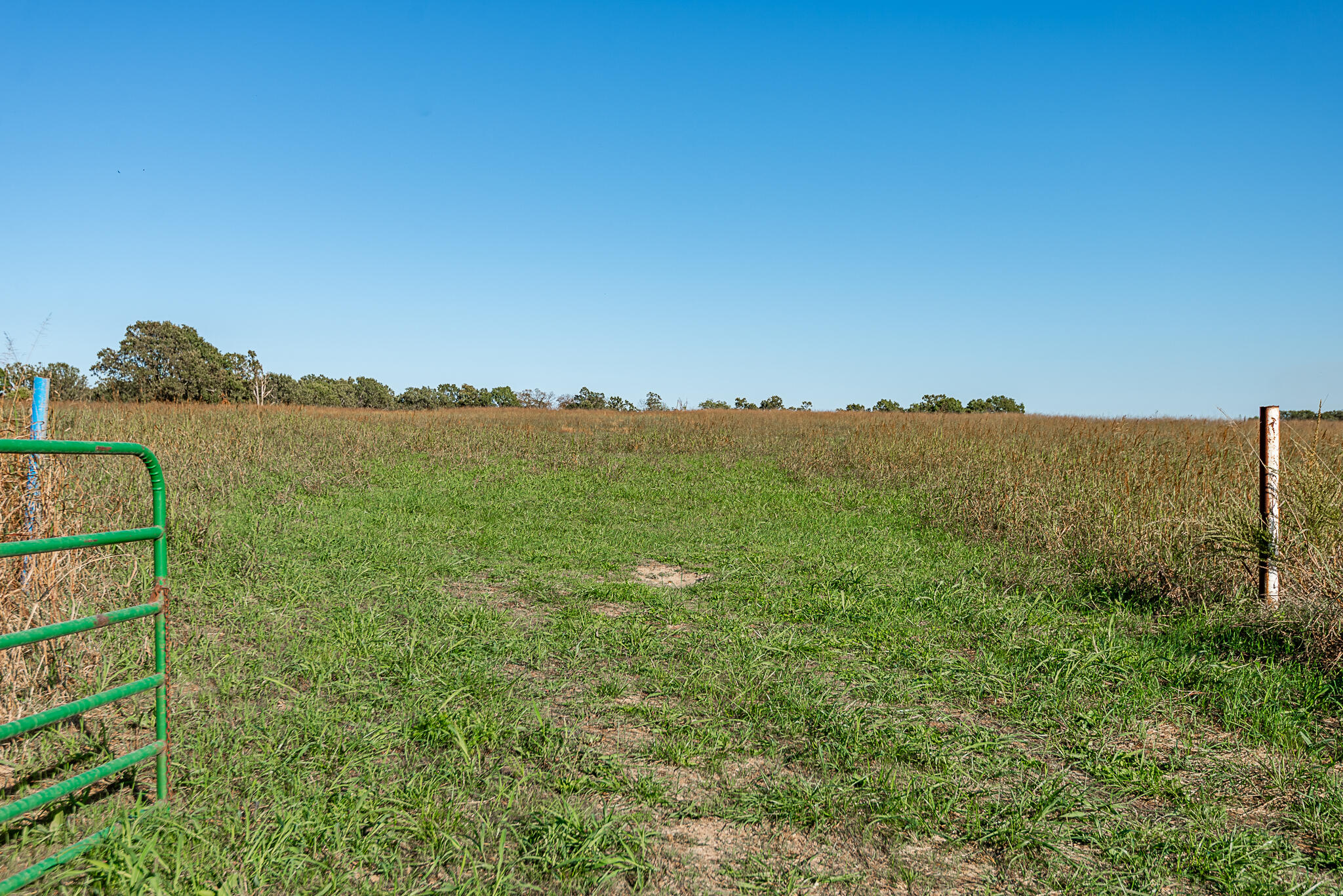 18007 Norton Drive Property Photo 85