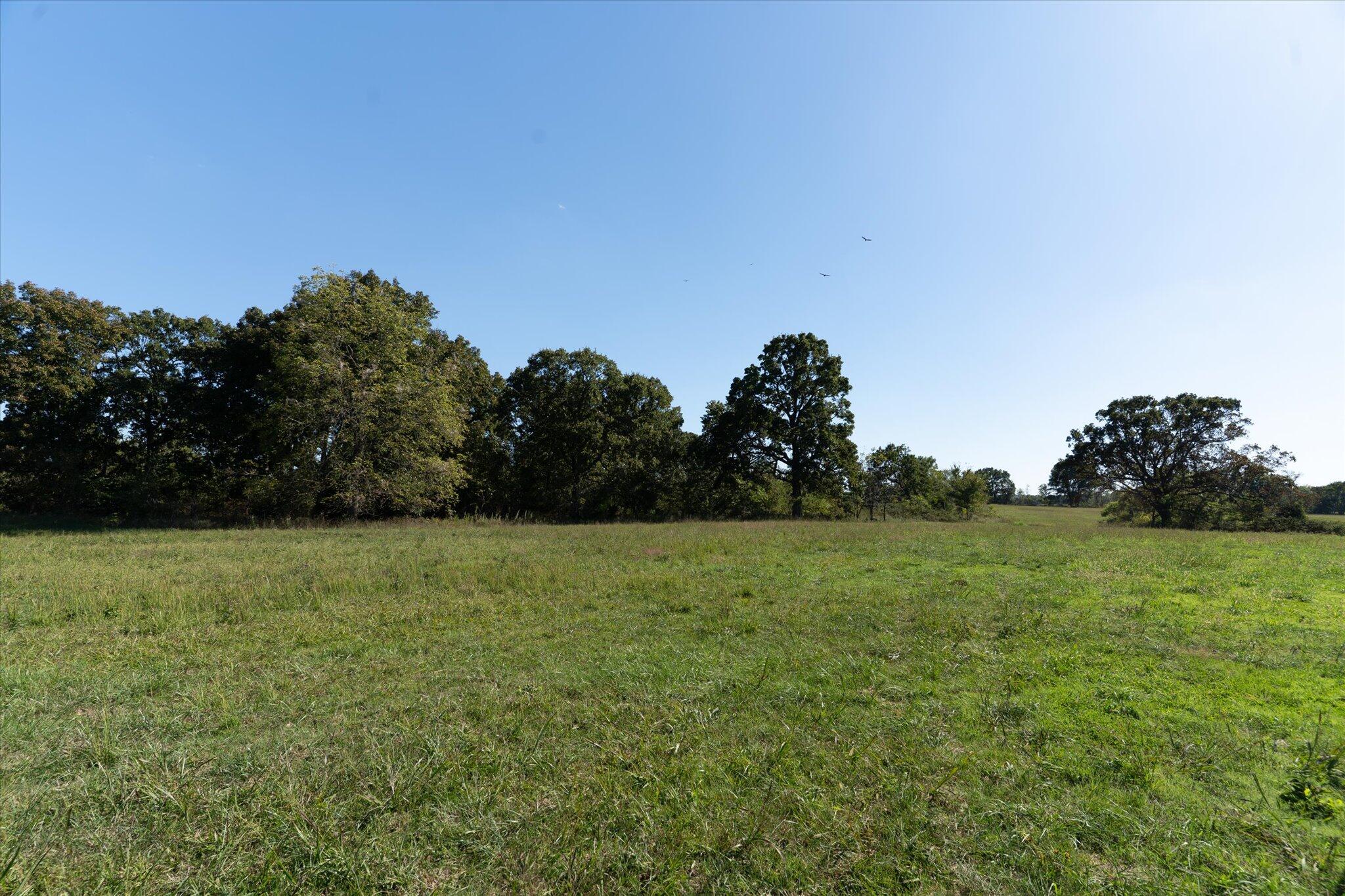 000 South 420th Road Property Photo 4