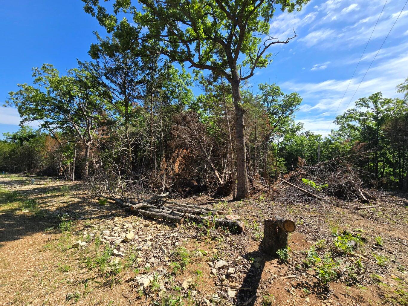 11111 Tall Oaks Property Photo 2