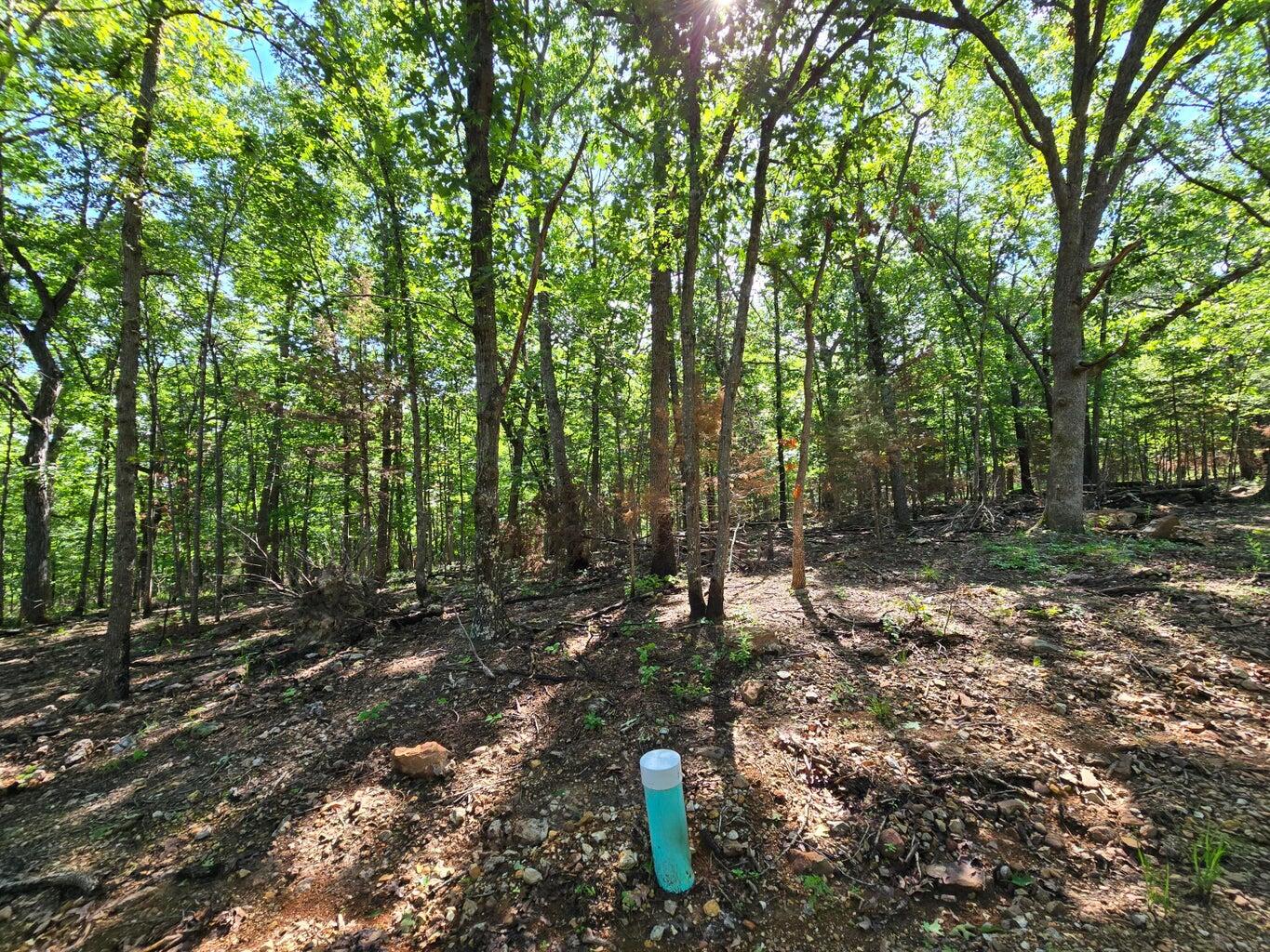 11111 Tall Oaks Property Photo 3