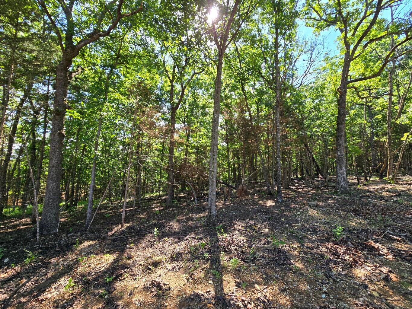 11111 Tall Oaks Property Photo 5