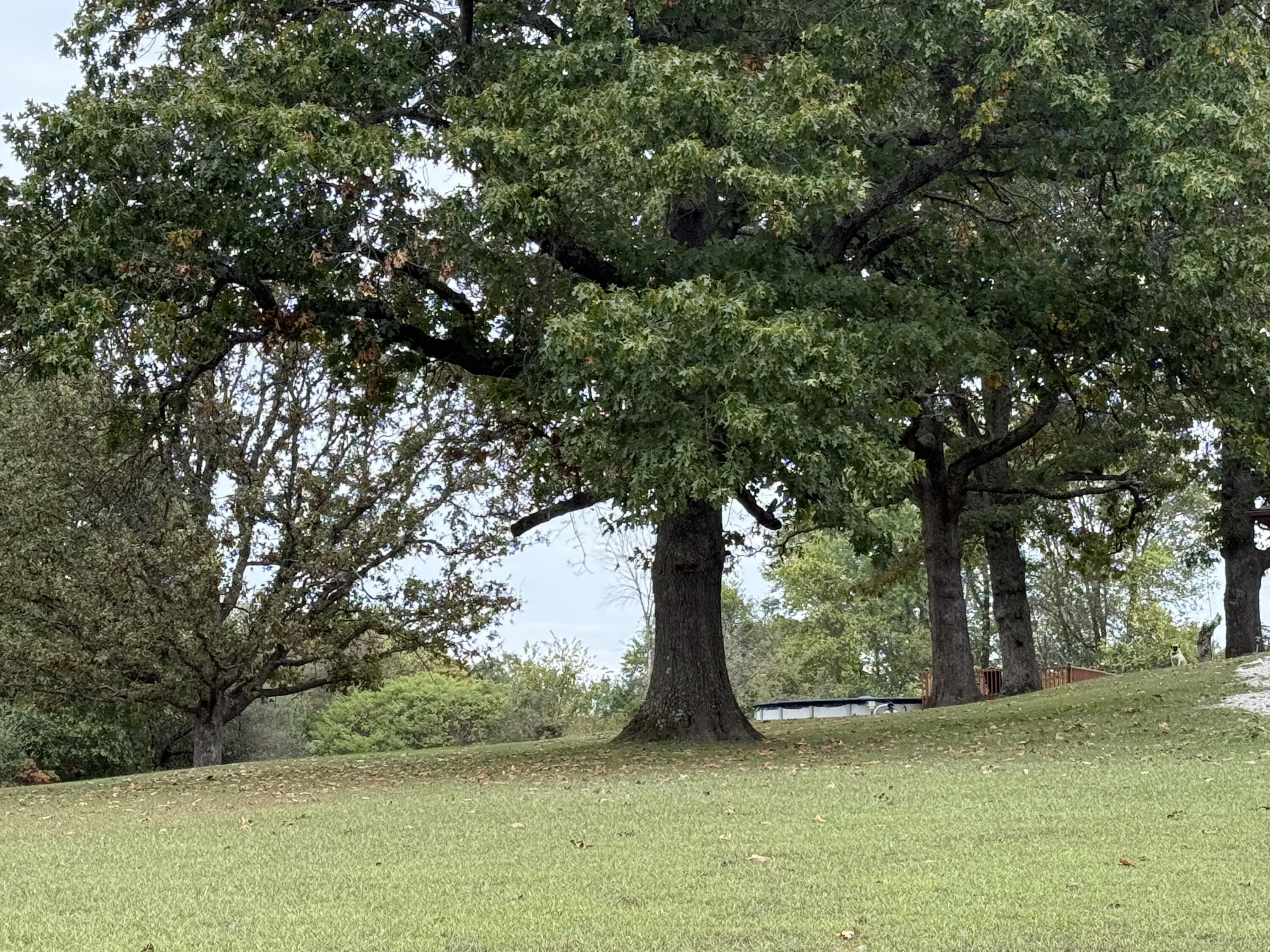 812 Highway 5 Property Photo 29