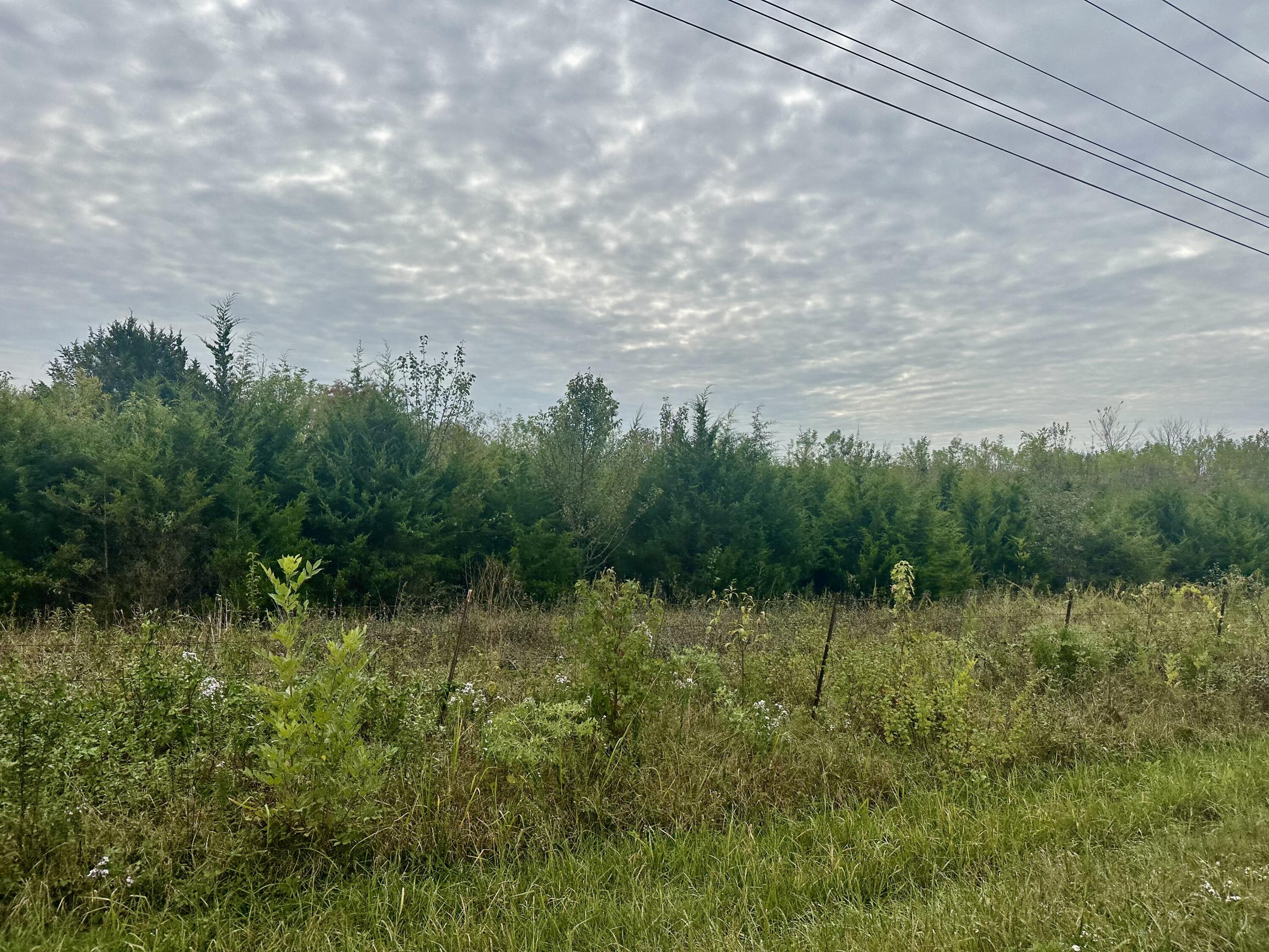 000 State Hwy 00 Property Photo 4