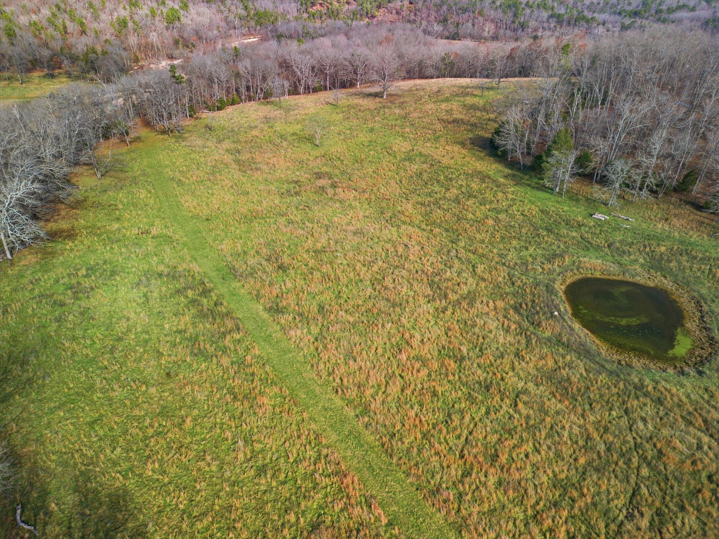 2755 County Road 422 Property Photo 39