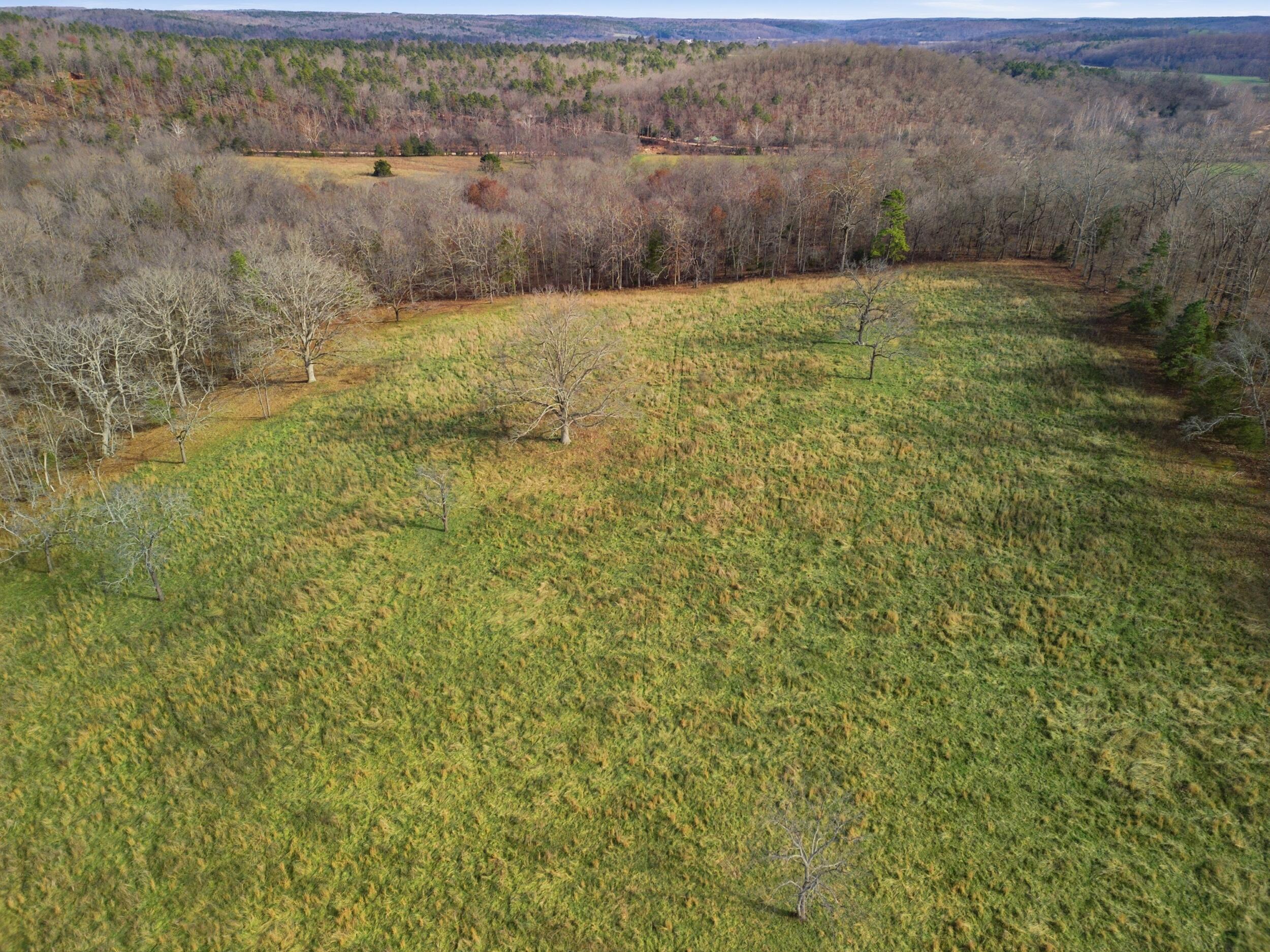 2755 County Road 422 Property Photo 42