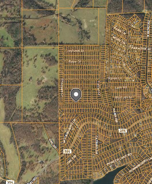 1006 Chickadee Street Property Photo 1