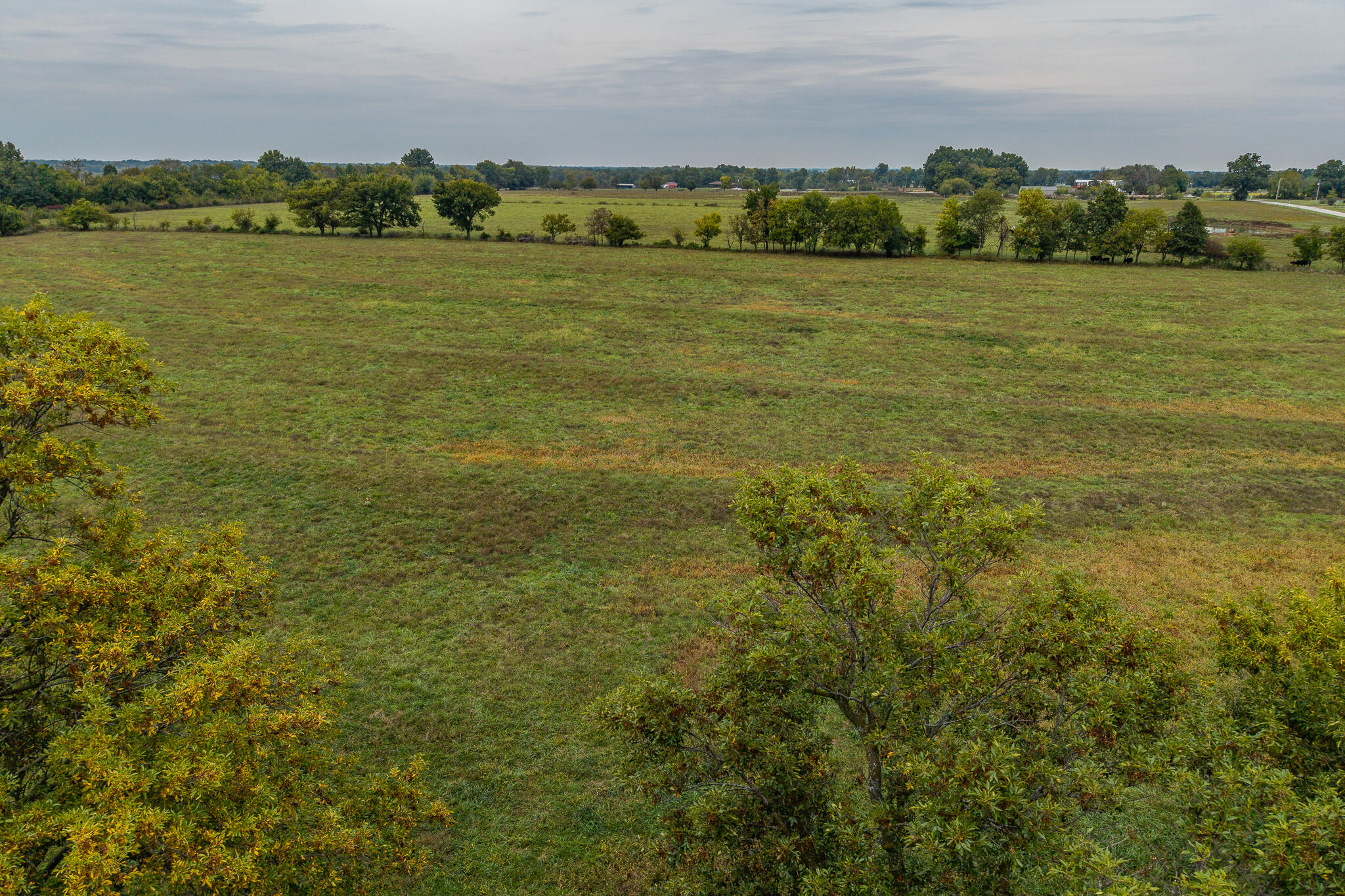 006 County Road 270 Property Photo 3