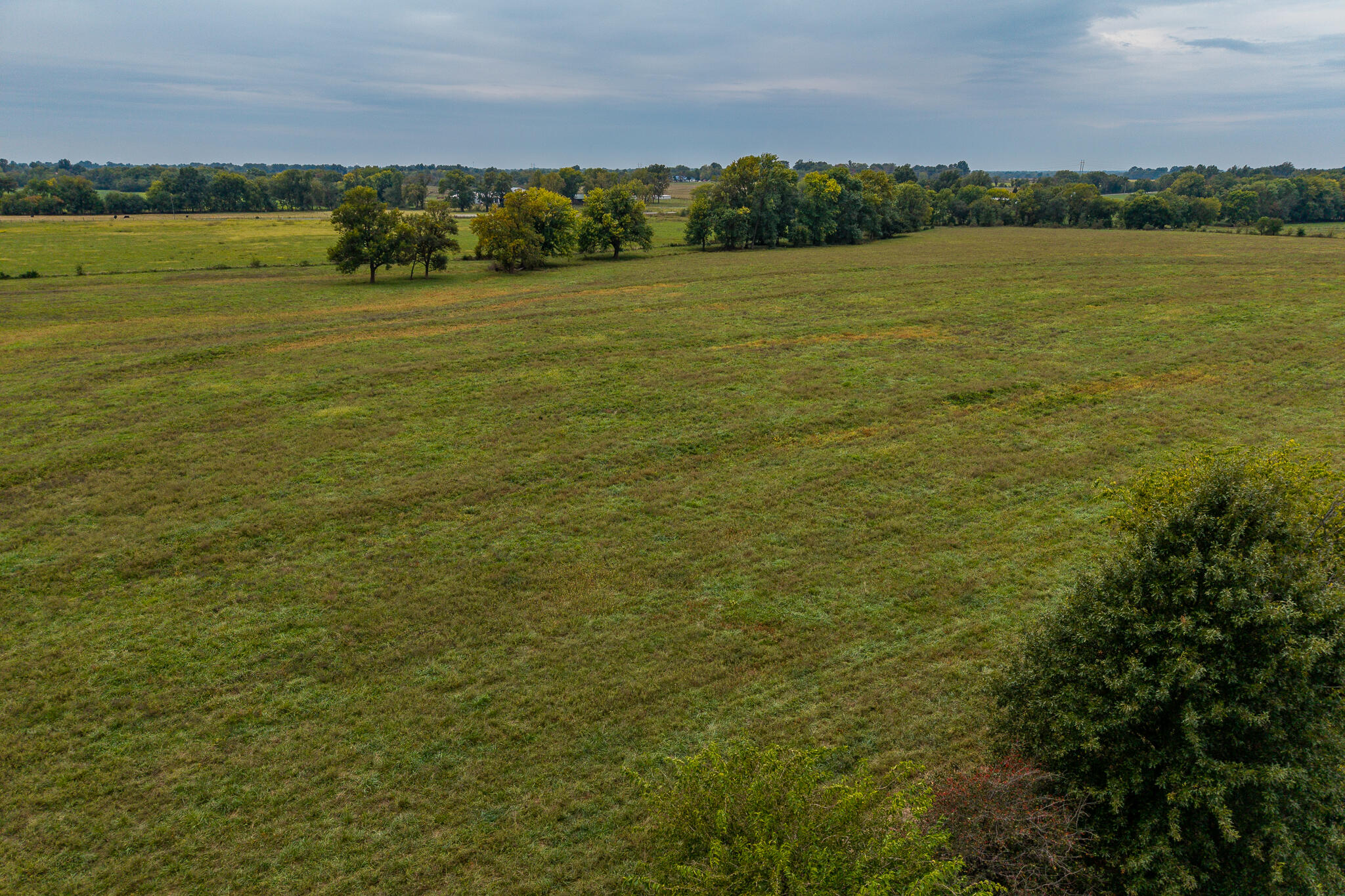 006 County Road 270 Property Photo 5