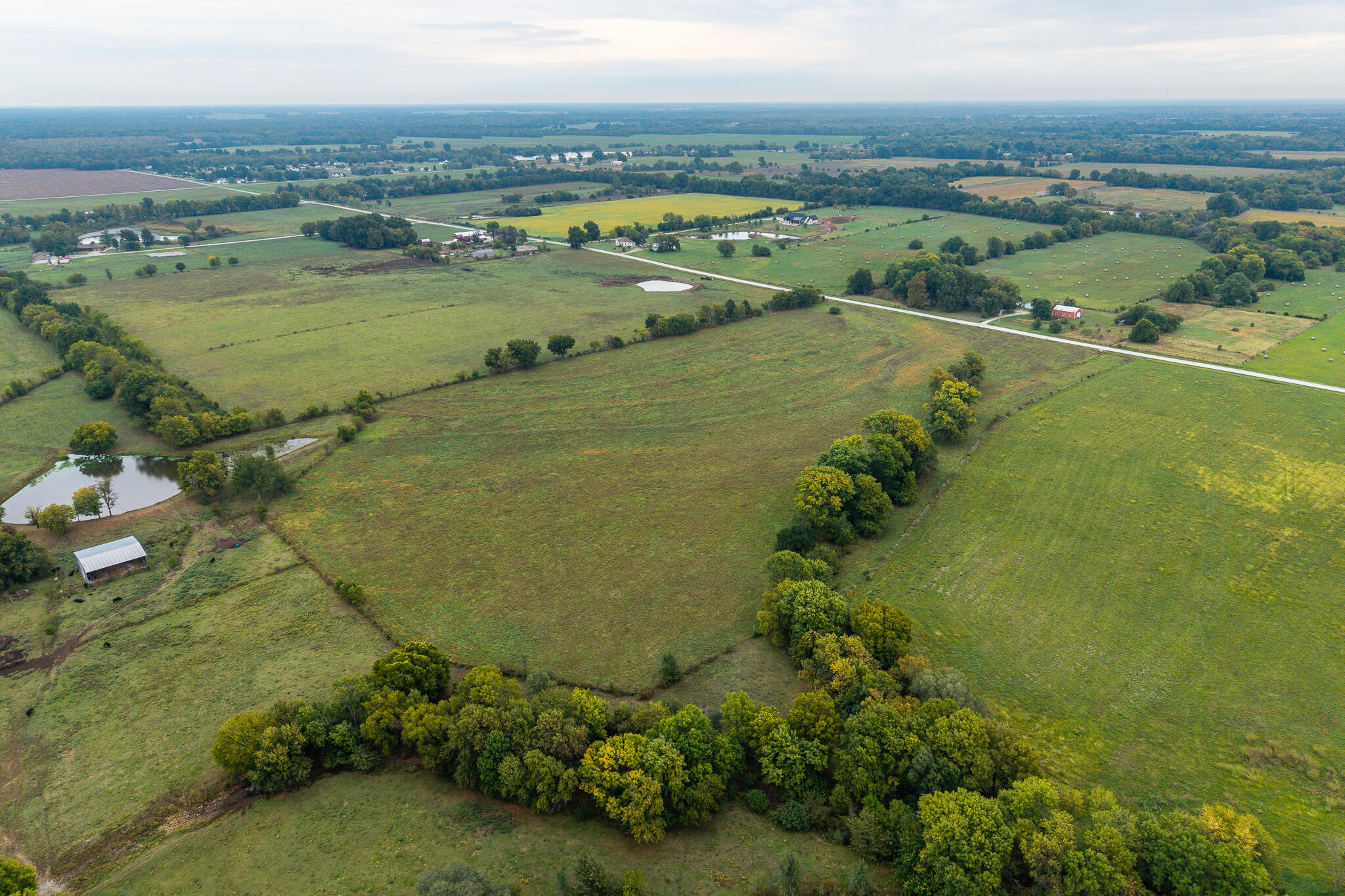 006 County Road 270 Property Photo 6