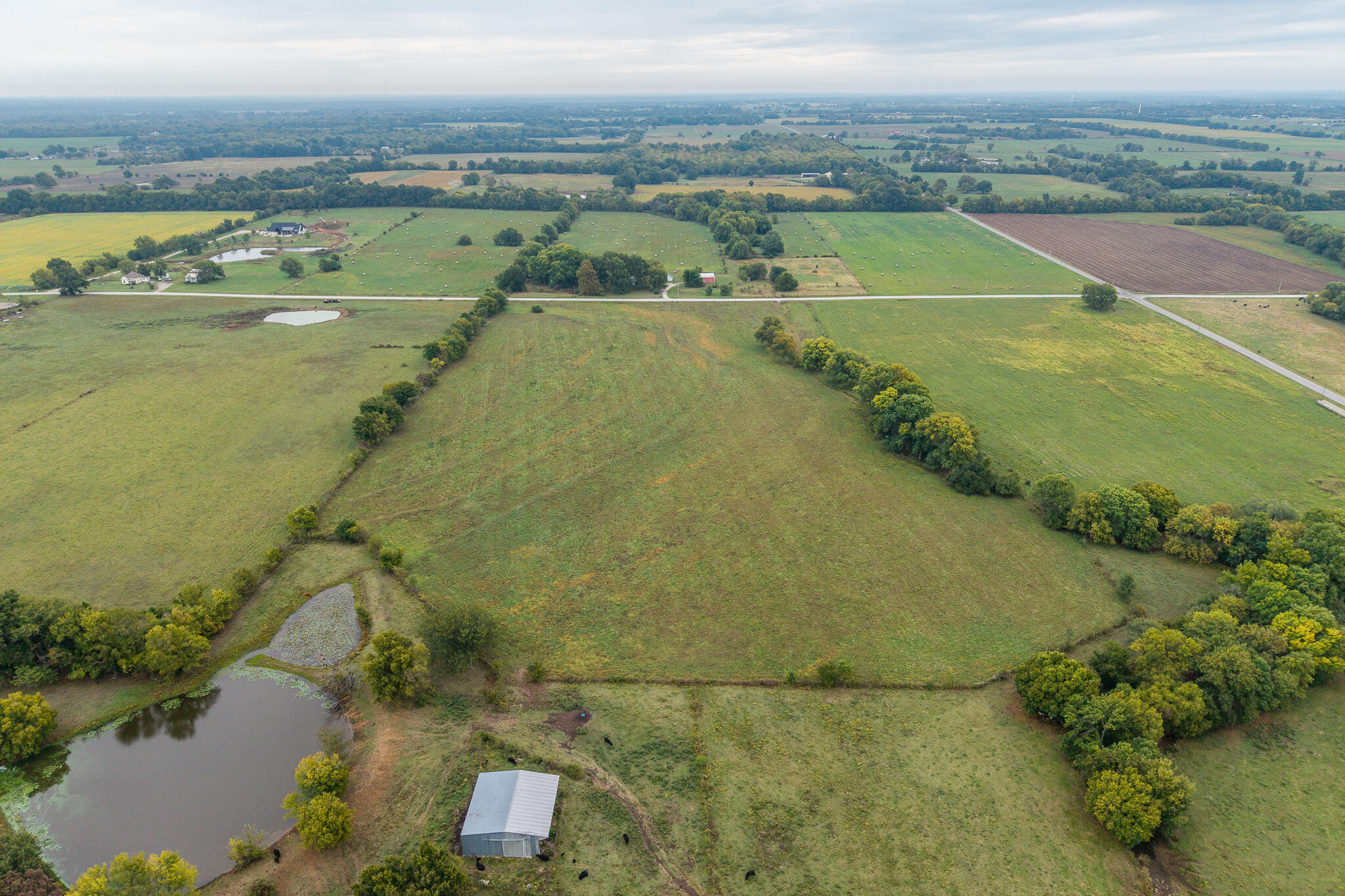 006 County Road 270 Property Photo 8