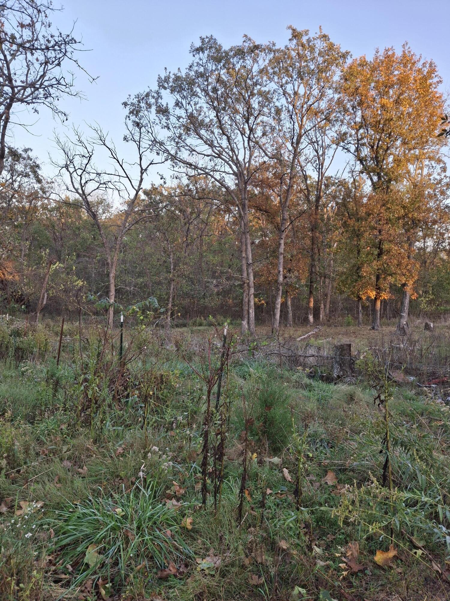 3695 South 47th Road Property Photo 8