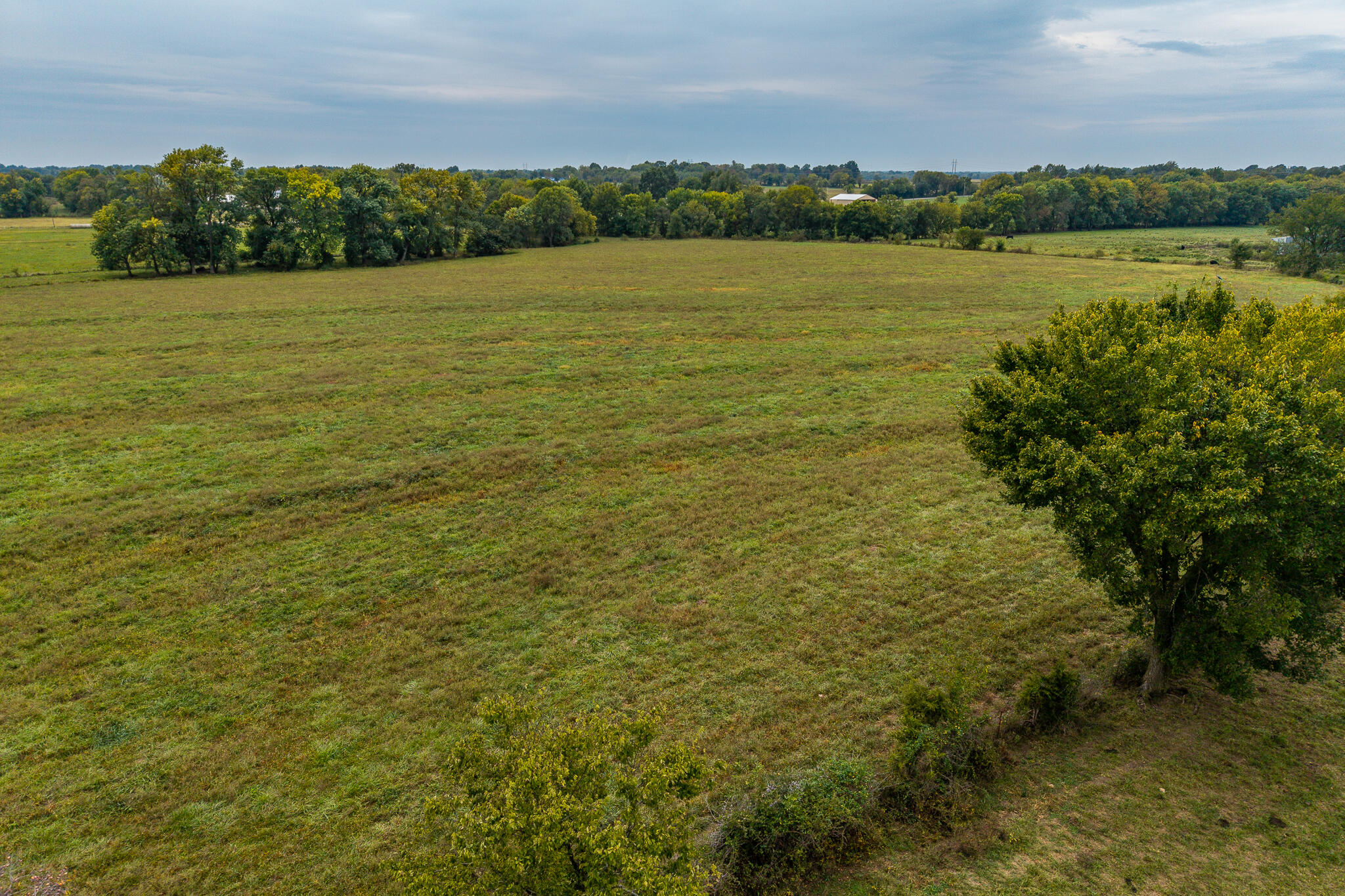 008 County Road 270 Property Photo 4