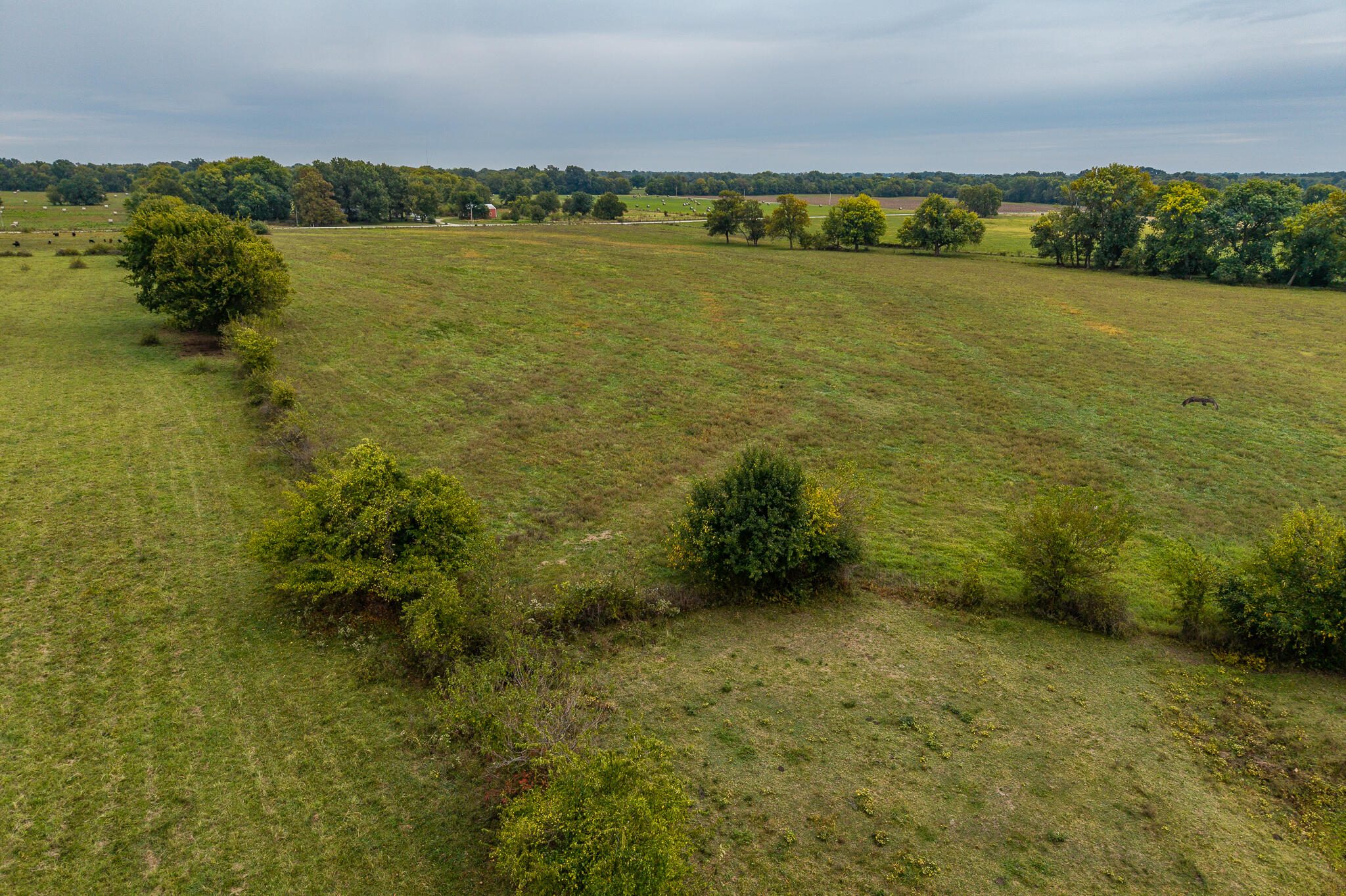 008 County Road 270 Property Photo 6