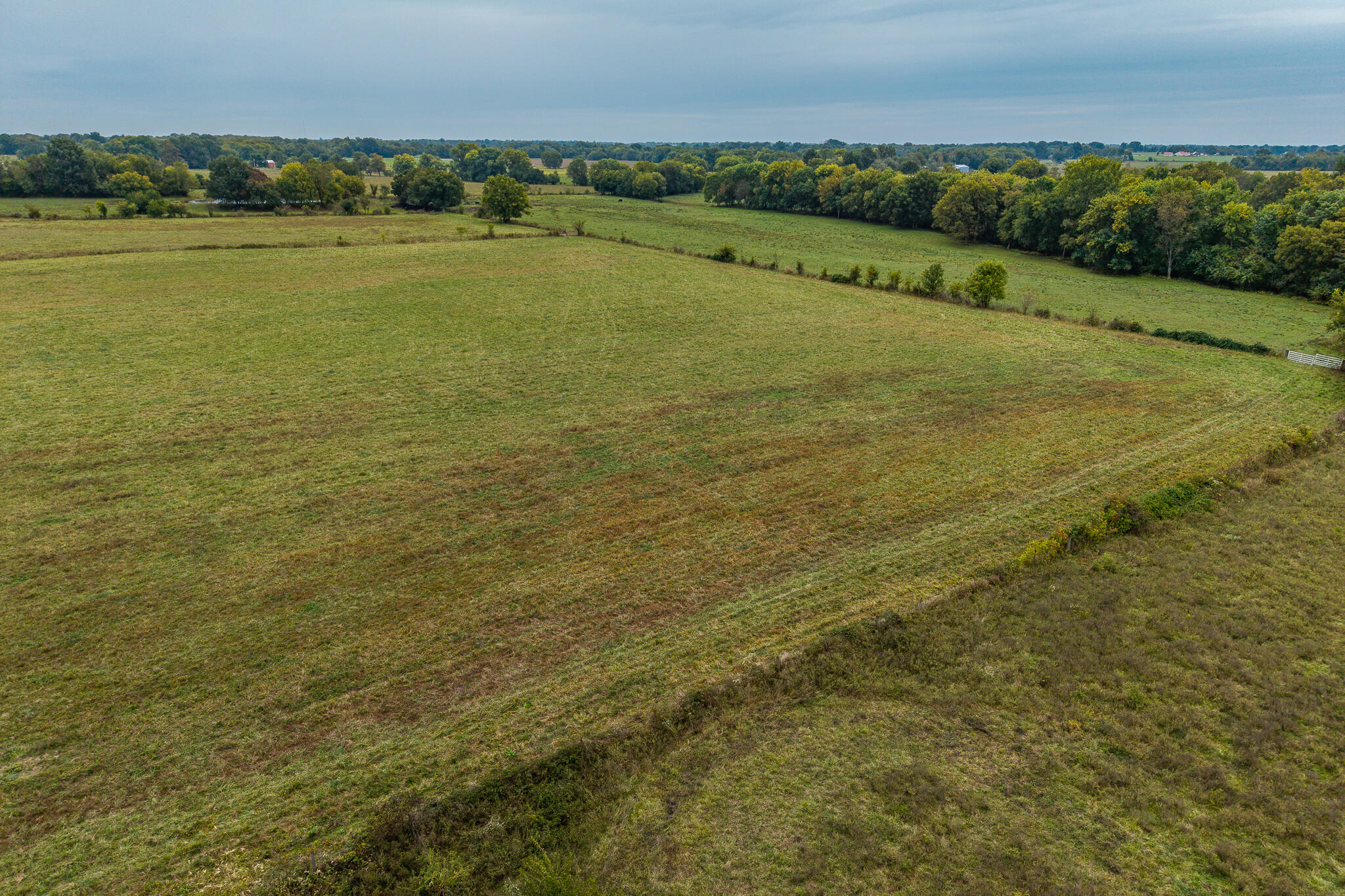 010 County Road 270 Property Photo 3