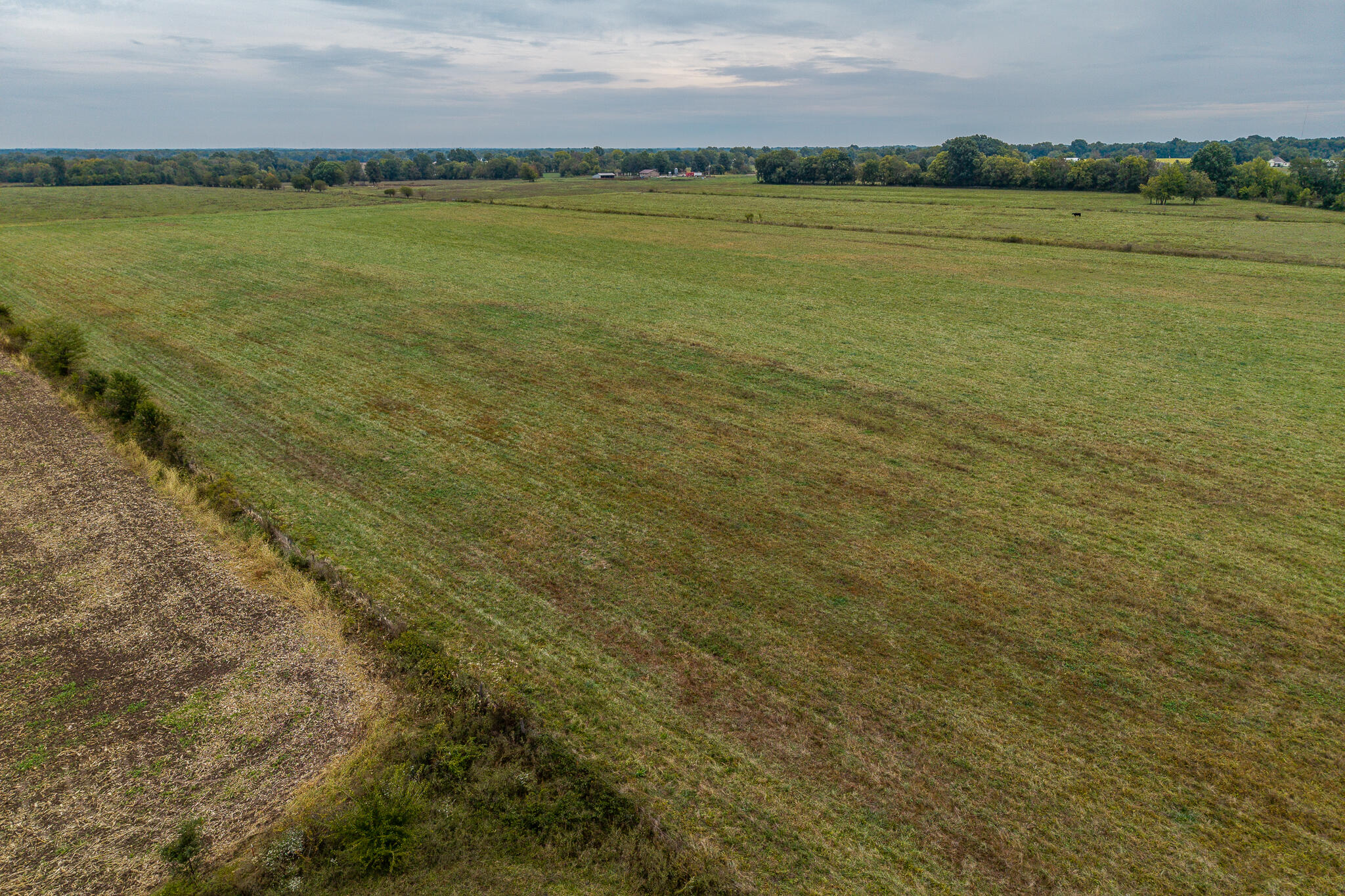 010 County Road 270 Property Photo 4