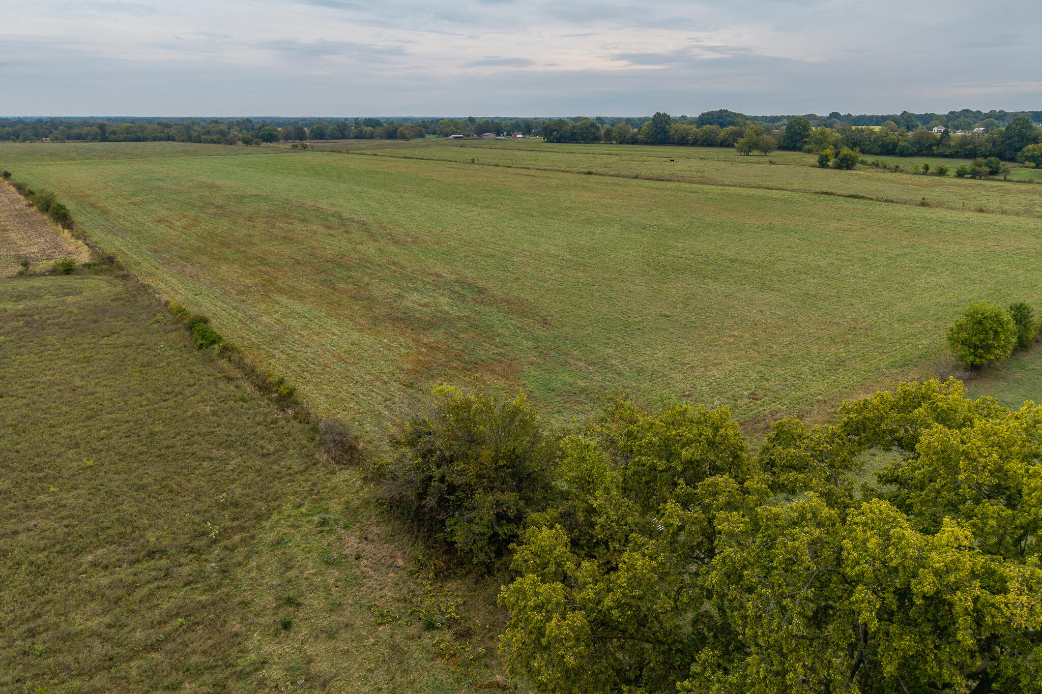 010 County Road 270 Property Photo 5