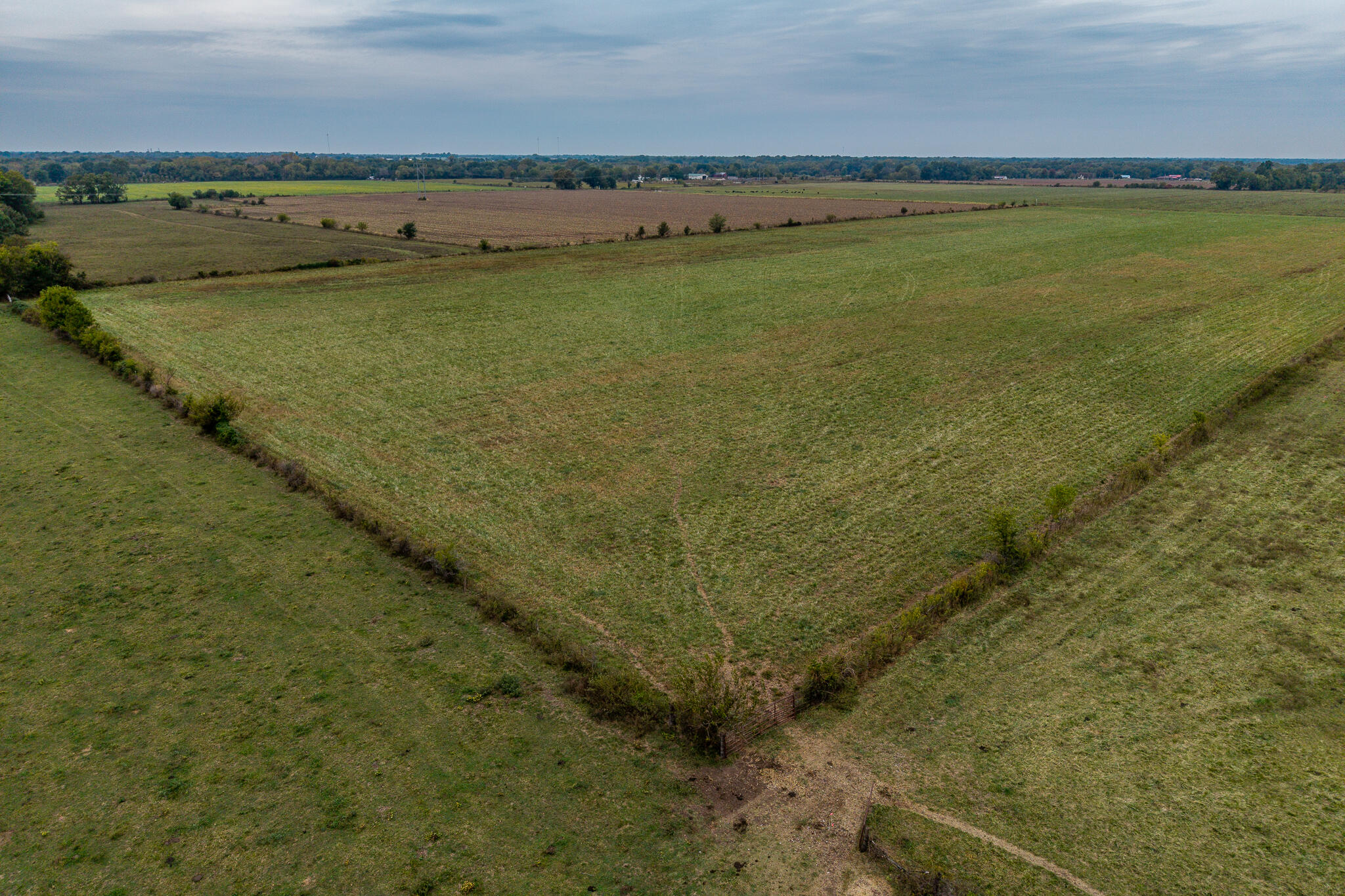 010 County Road 270 Property Photo 7
