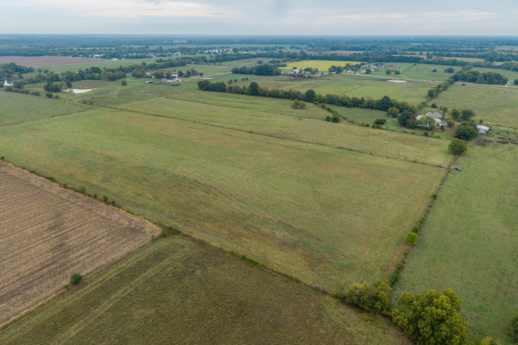 010 County Road 270 Property Photo 11