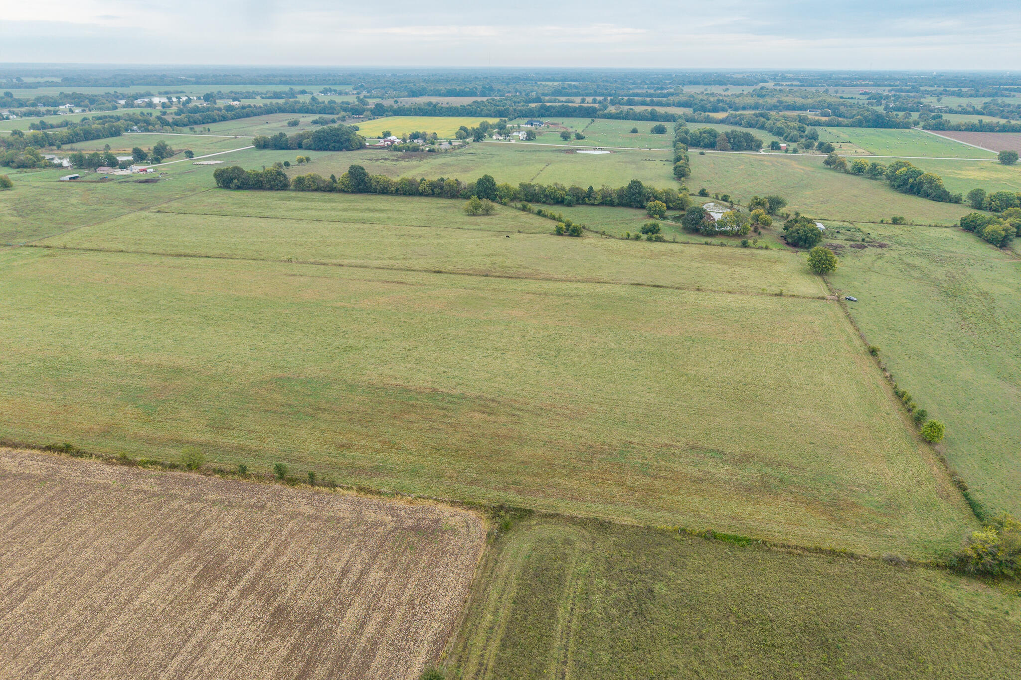 010 County Road 270 Property Photo 13