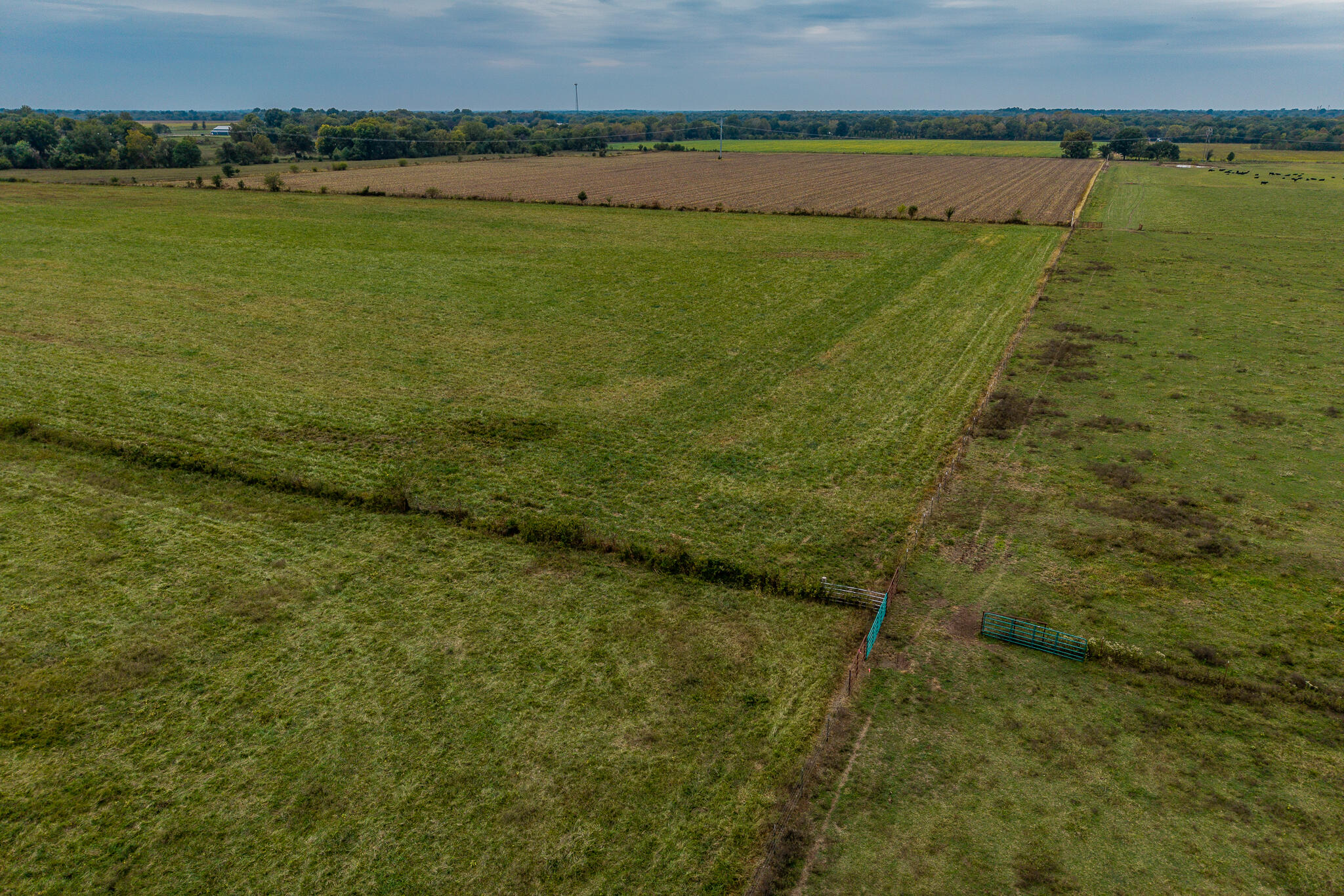 12131415 County Road 270 Property Photo 2