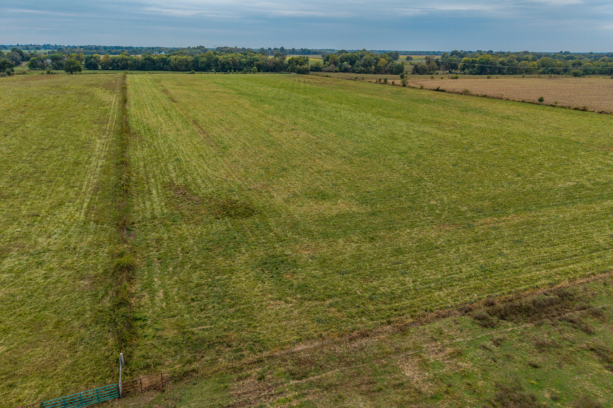 12131415 County Road 270 Property Photo 3