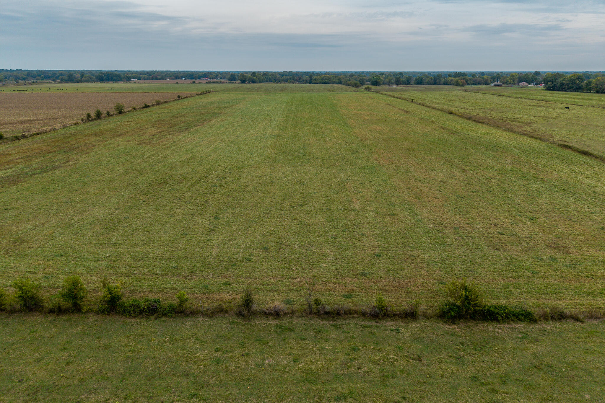 12131415 County Road 270 Property Photo 7