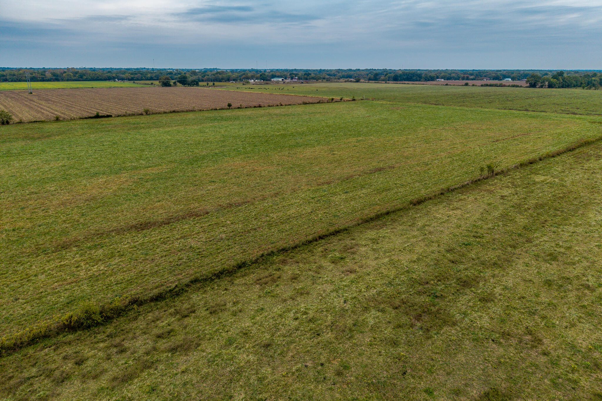 12131415 County Road 270 Property Photo 8