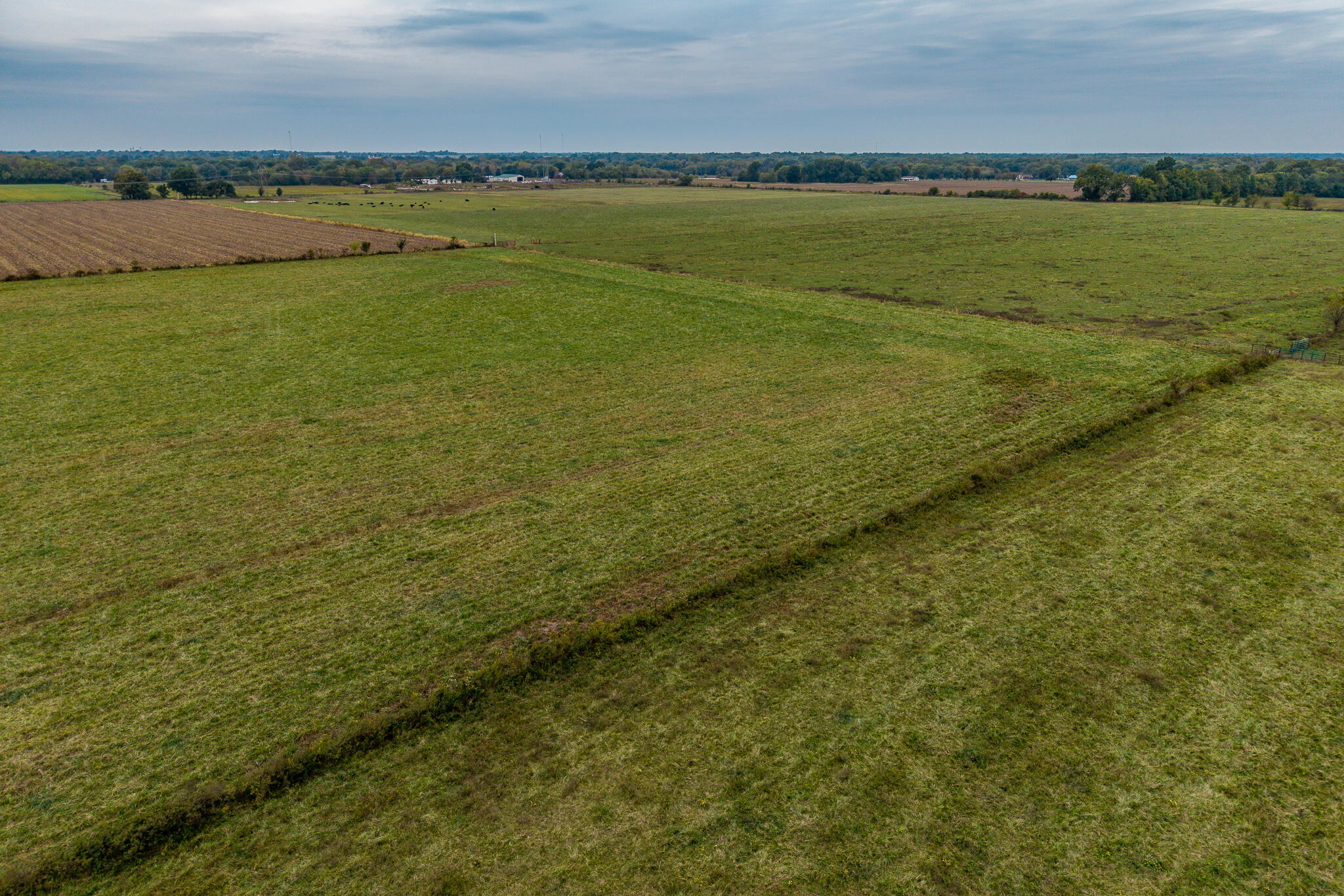 12131415 County Road 270 Property Photo 9