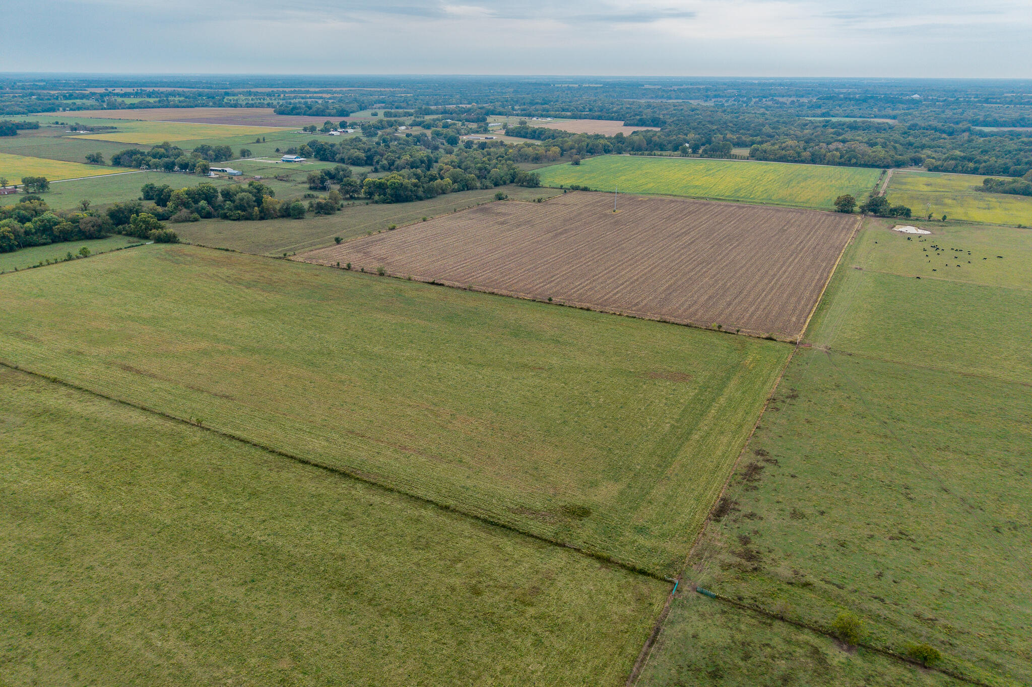 12131415 County Road 270 Property Photo 23