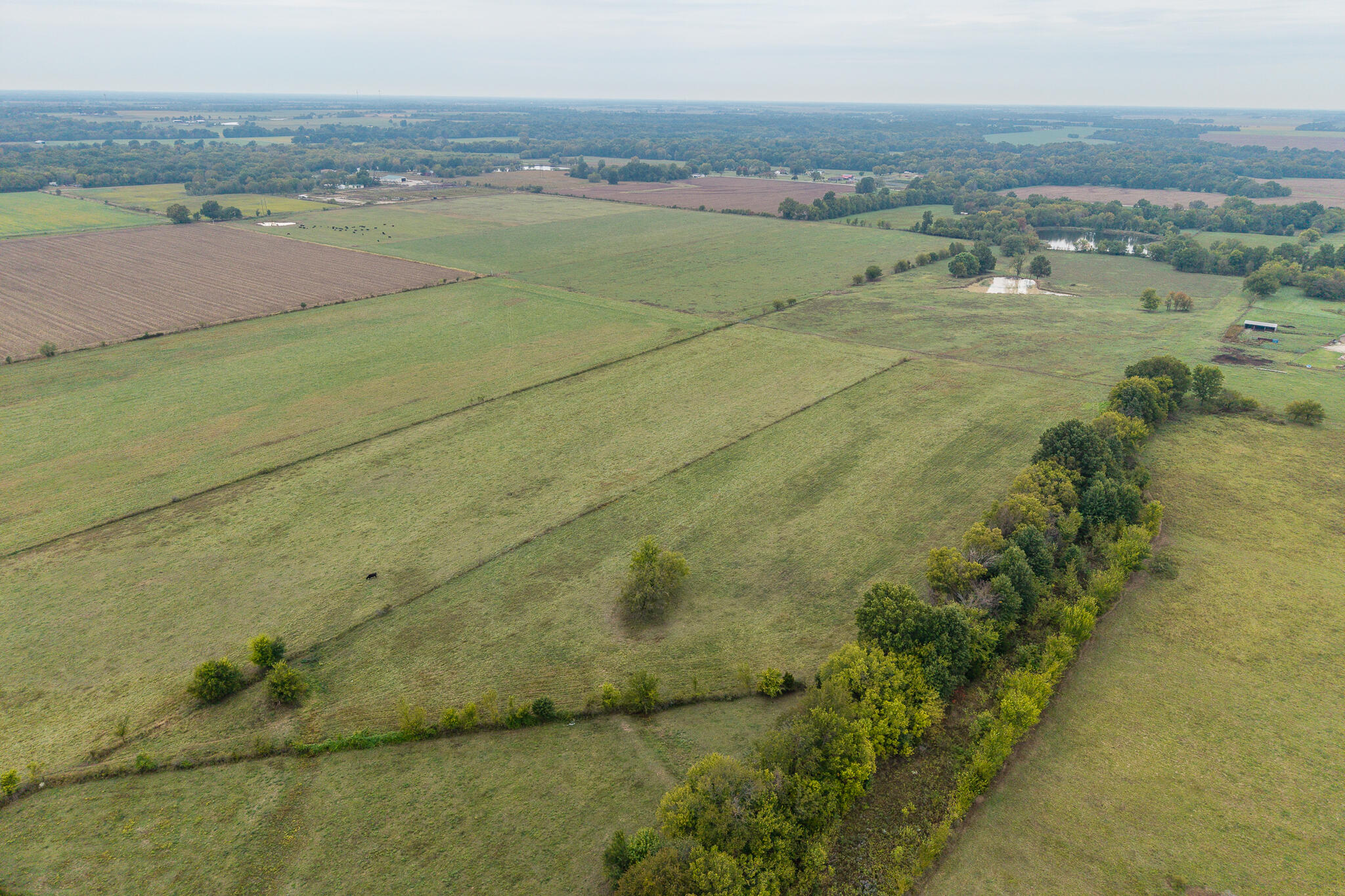 12131415 County Road 270 Property Photo 31