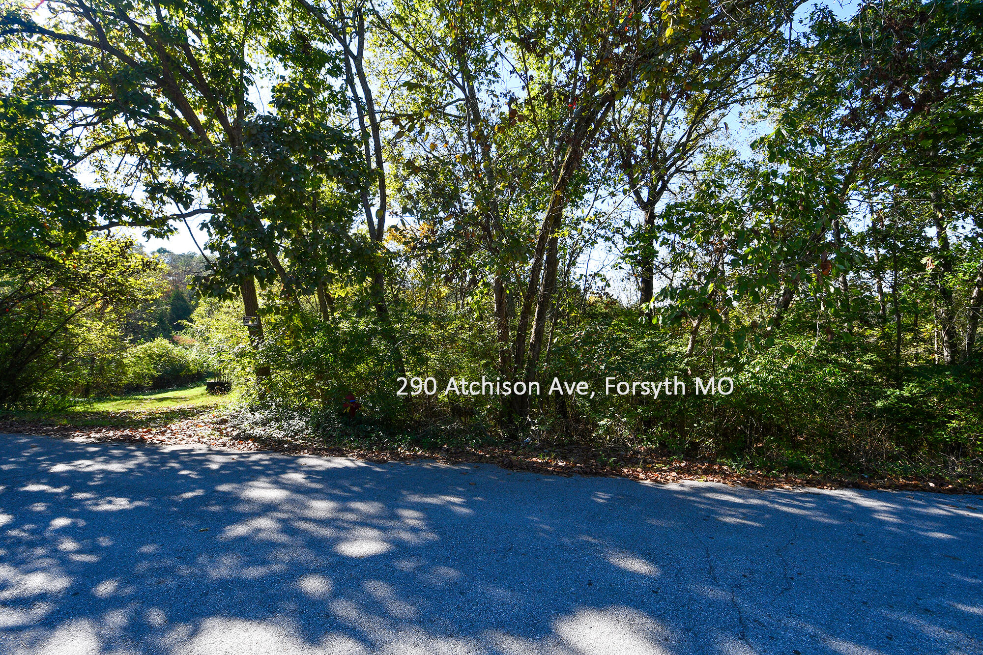 290 Atchison Avenue Property Photo 2