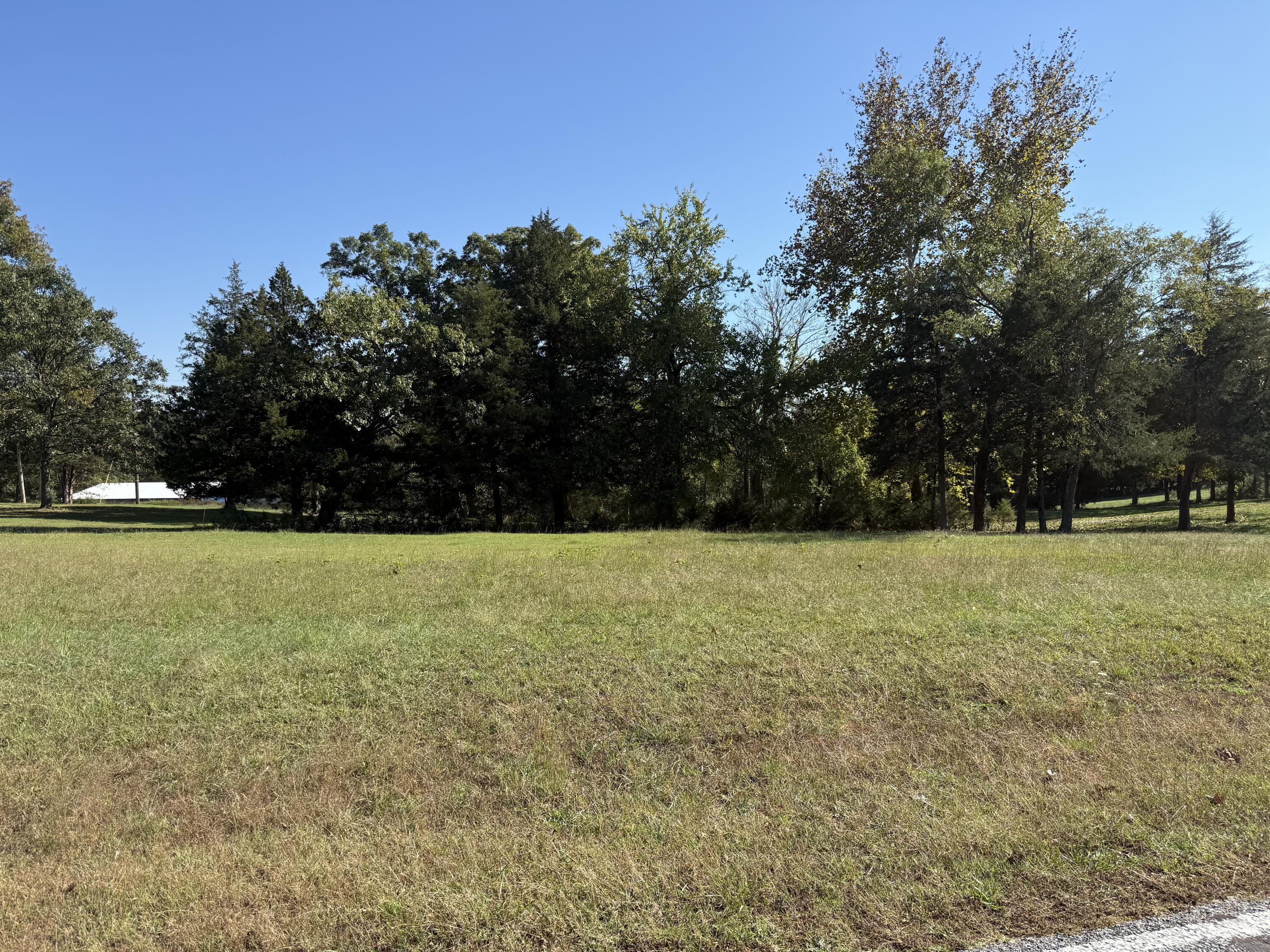 Tbd Fairway Dr Property Photo 3