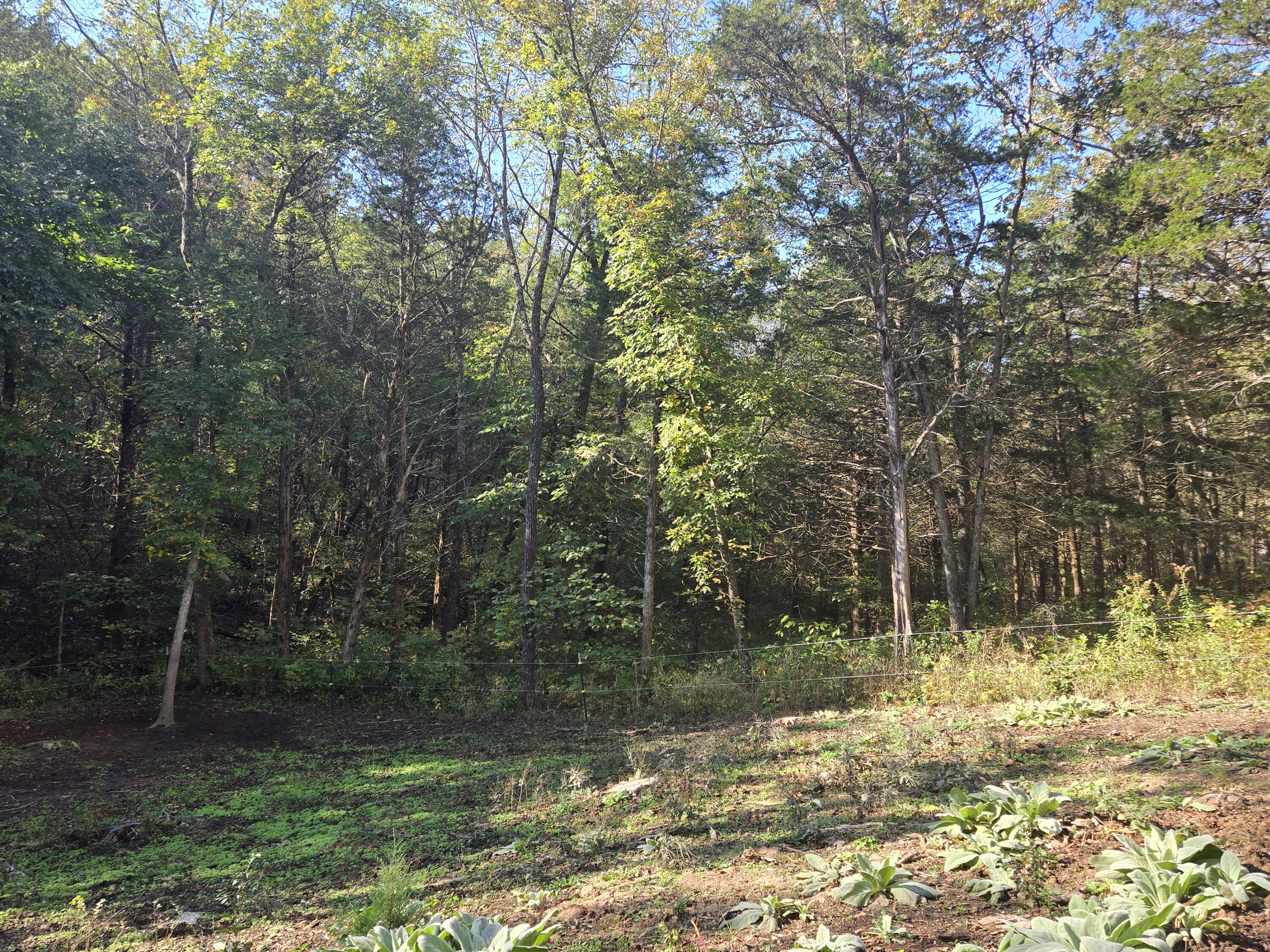 26756 County Road 365c Property Photo 8