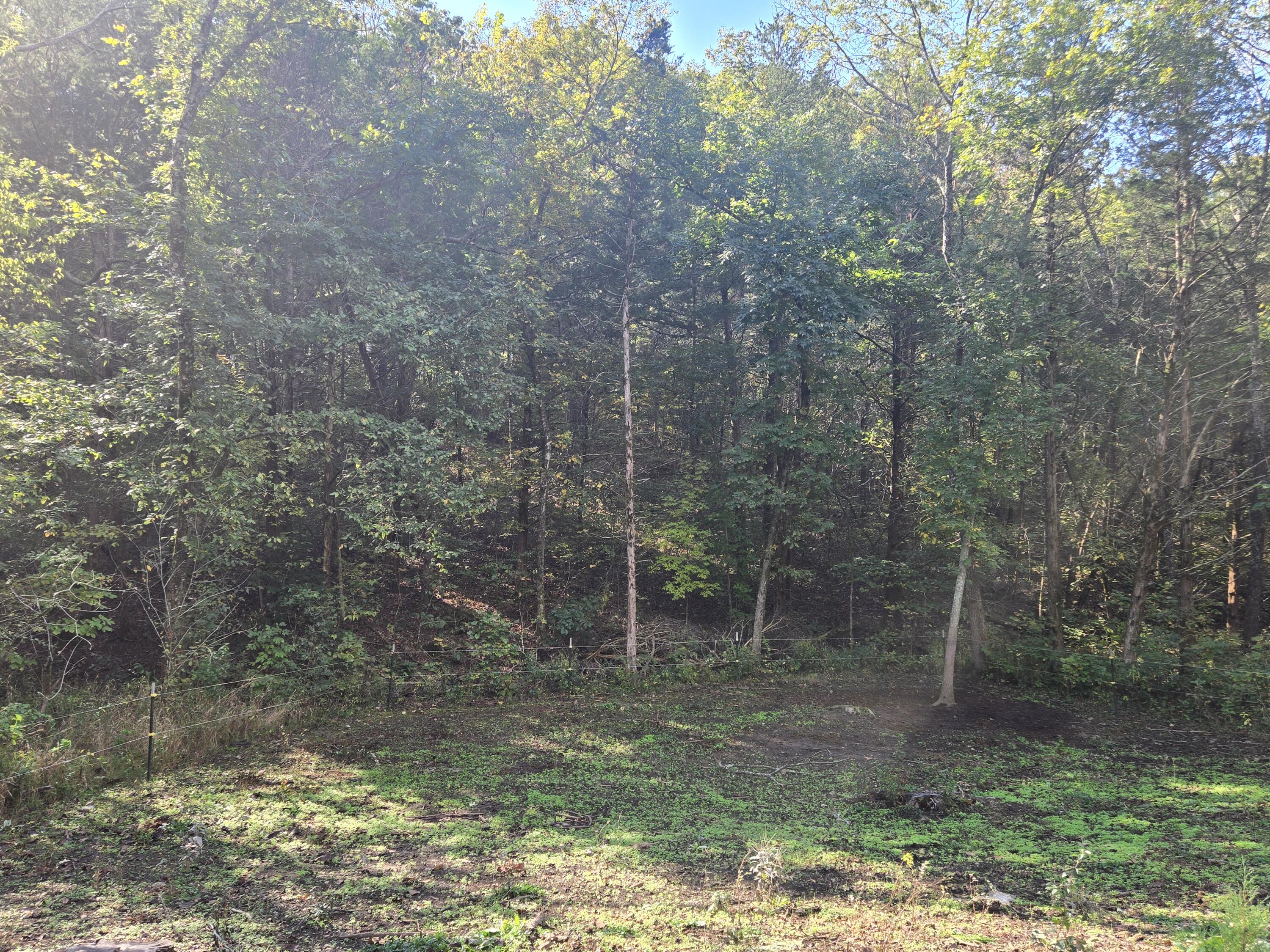 26756 County Road 365c Property Photo 23
