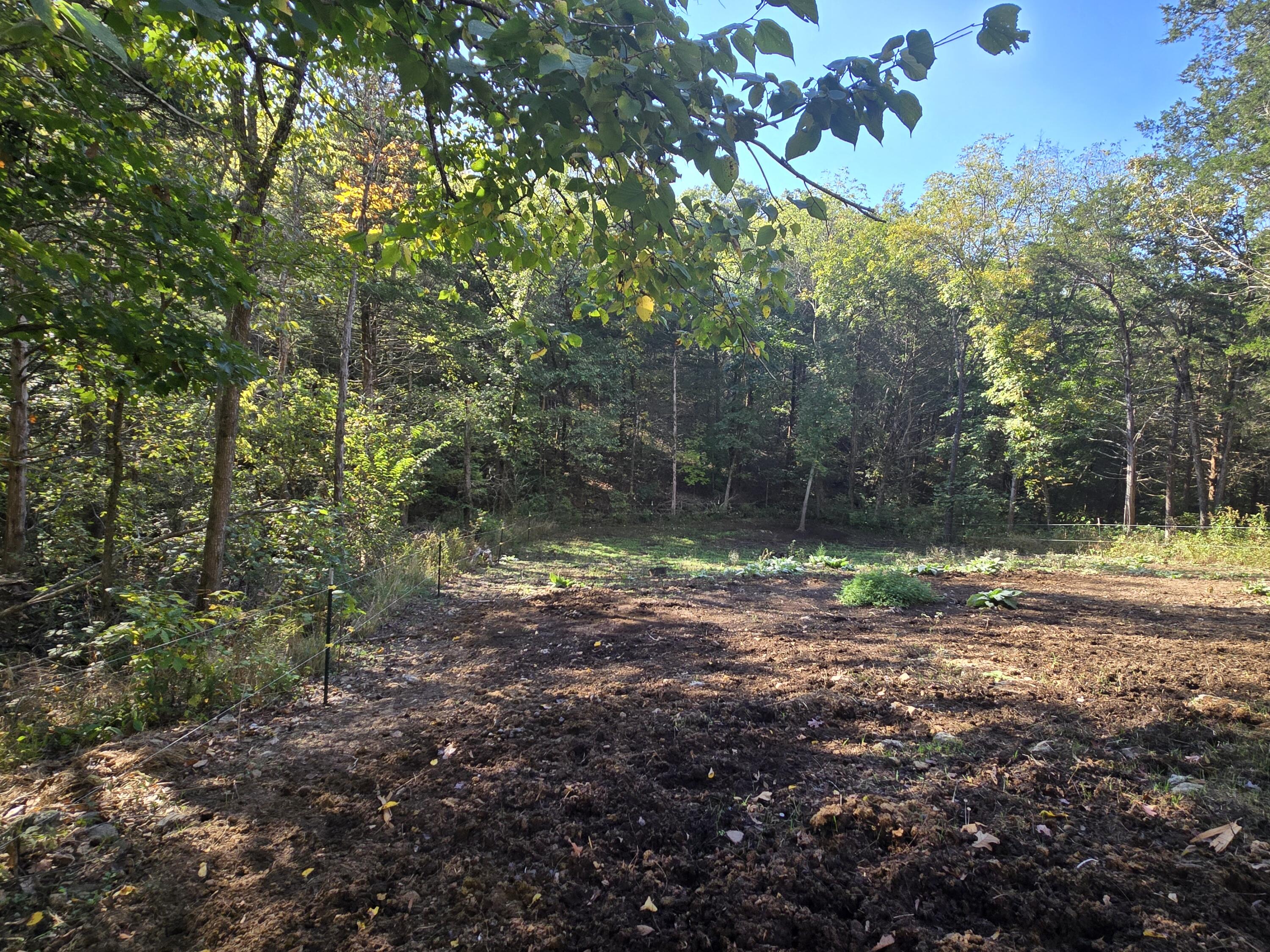 26756 County Road 365c Property Photo 24